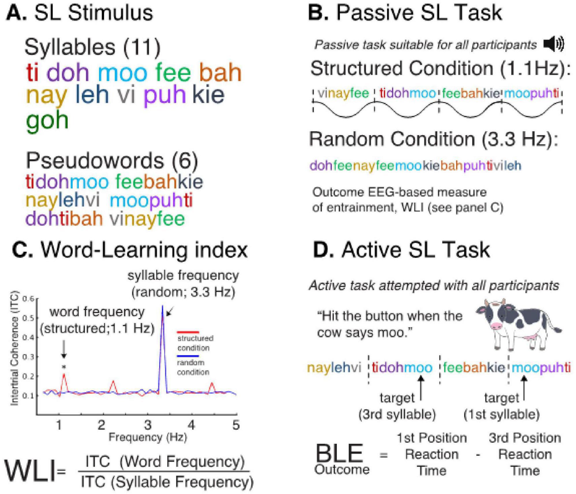 ENTRAIN R01 study model diagram describes a behavior-to-circuit approach for addressing sensory and cognitive symptoms in Fragile X Syndrome (FXS). Left section, “Data Collection,” includes behavior, gene, and physiology in mice and humans, focusing on EEG changes and statistical learning. Middle section, “Analysis,” involves systems and circuits, averaging data and using in silico modeling. Right section, “Modulate,” features physiology with alpha auditory entrainment and normalization of FXS EEG. The diagram highlights cross-species EEG analysis, trial comparisons, and modulation strategies.