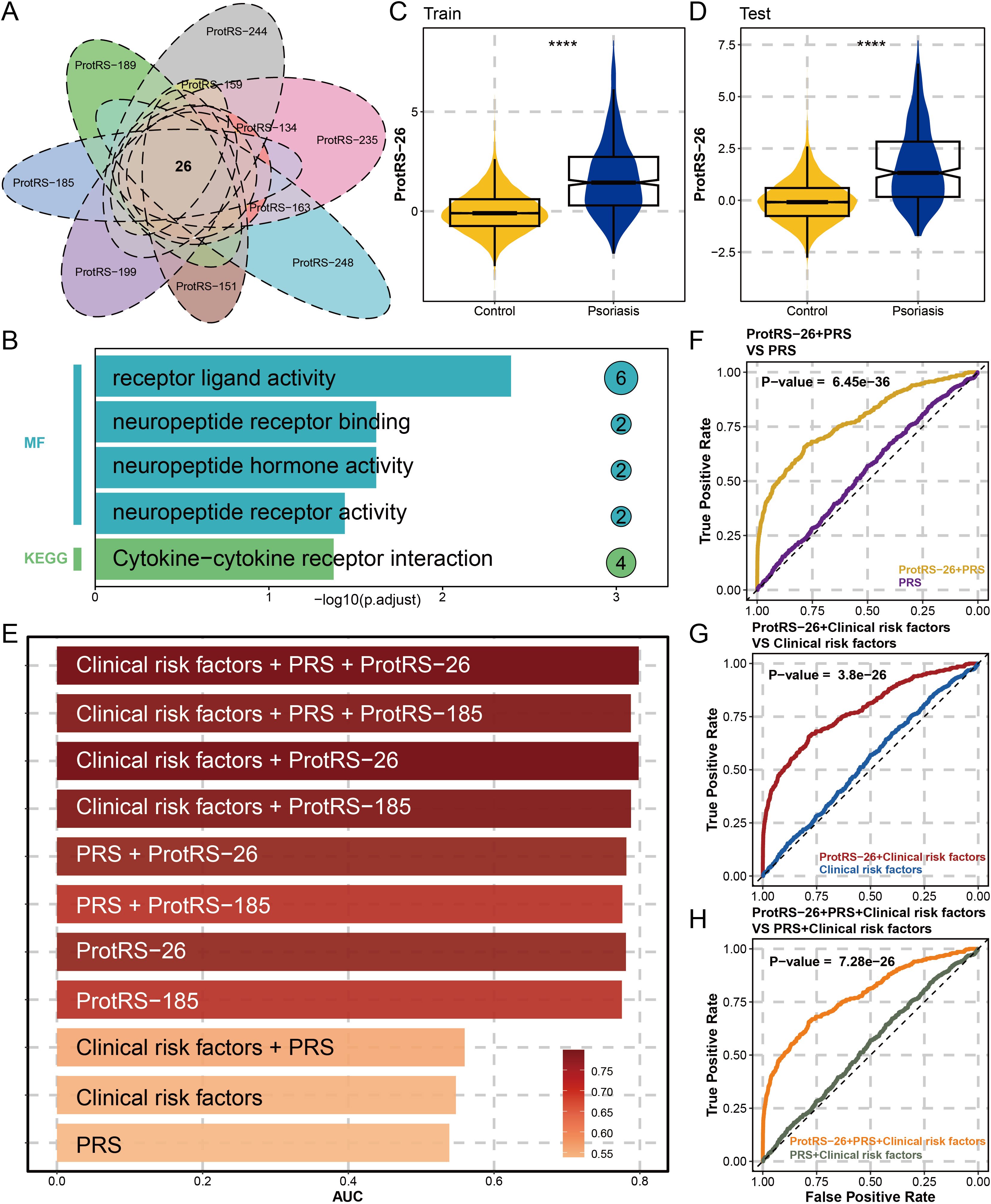 Composite image showing various analyses related to psoriasis risk prediction models: A) Venn diagram of gene overlaps among different ProRS scores with 26 shared genes. B) Bar graph indicating enriched pathways, highlighting receptor-ligand activity and cytokine interactions. C) Violin plot showing ProRS-26 distribution in train data between control and psoriasis groups. D) Violin plot for test data comparisons. E) Bar graph of area under the curve (AUC) values for different risk assessment combinations, with highest for combined clinical and genetic factors. F-H) Receiver Operating Characteristic (ROC) curves comparing true positive rates across different models, with p-values demonstrating model significance.