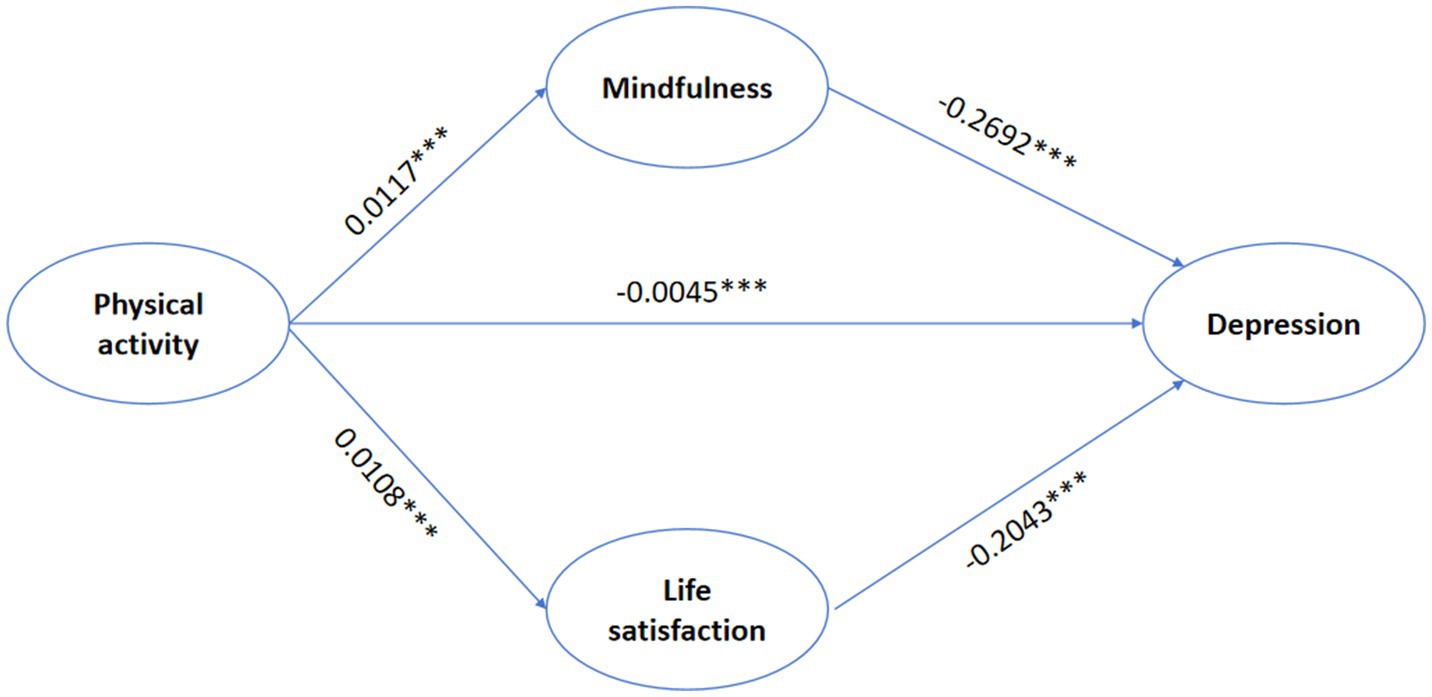 Diagram showing the relationships between physical activity, mindfulness, life satisfaction, and depression. Physical activity links positively to mindfulness (0.0117) and life satisfaction (0.0108), and negatively impacts depression (-0.0045). Mindfulness negatively impacts depression (-0.2692), and life satisfaction has a negative impact on depression (-0.2043).