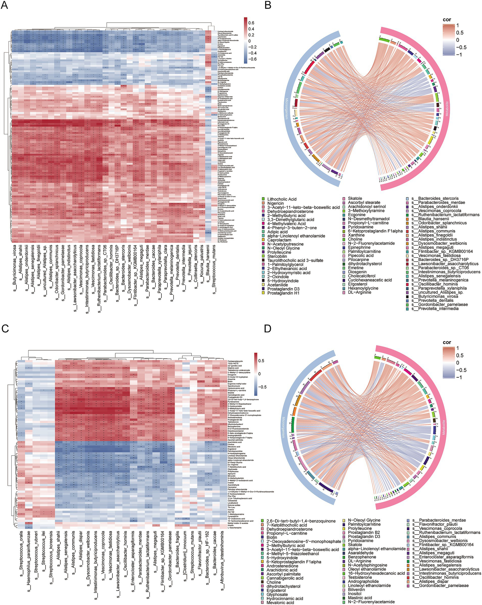 Panel A shows a heatmap with color gradients from blue to red, indicating correlation values between microbial species and metabolites. Panel B is a circular correlation plot, illustrating relationships between metabolites and microbial species with lines colored according to correlation strength. Panel C displays another heatmap with similar data, but differing groupings or inputs. Panel D is a similar circular plot with different data points or correlations, maintaining the color gradient theme. Labels indicate specific metabolites and microbial species, with legends for color interpretation.