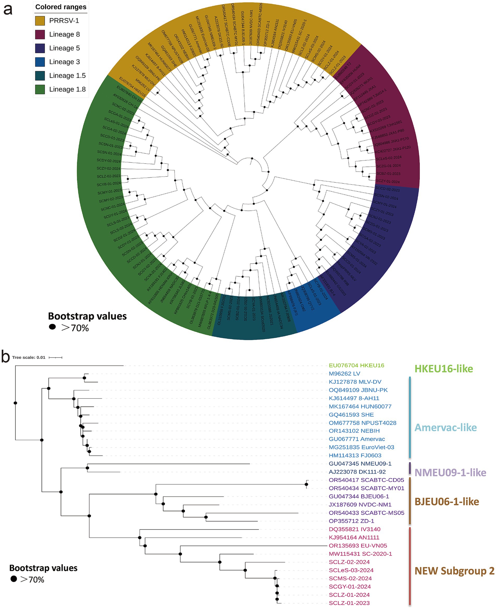 Circular phylogenetic tree diagram labeled