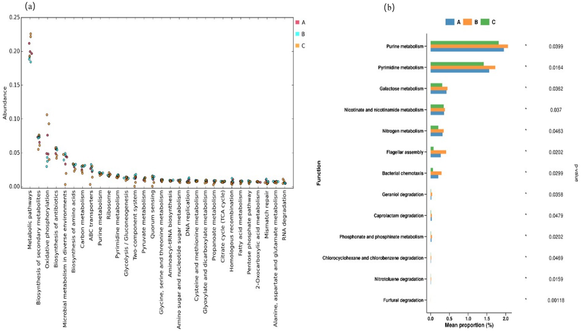 Graphical representation of metabolic function analysis. (a) Scatter plot showing the abundance of various metabolic pathways functions labeled as A, B, and C. Abundance values range up to 0.25, with higher concentrations in oxidative phosphorylation and secondary metabolite biosynthesis. (b) Bar chart comparing mean proportions of specific metabolic functions such as purine and pyrimidine metabolism for categories A, B, and C, with corresponding p-values. The mean proportions vary, with purine metabolism being the highest.