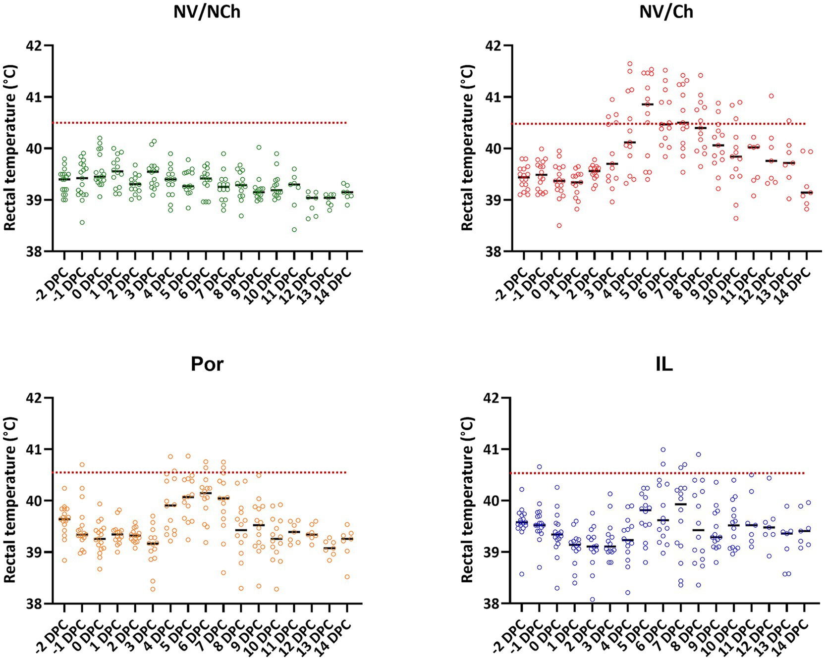 Four scatter plots display rectal temperature variations over time (in days post challenge, DPC) across different groups: NV/NCh, NV/Ch, Por, and IL. Each plot has temperatures on the vertical axis ranging from 38 to 42 degrees Celsius, with a dotted red line at 40.5 degrees indicating a threshold. The horizontal axis shows the time points from -2 to 14 DPC. Data points are marked with circles in different colors for each plot, and average values are shown with black horizontal lines.