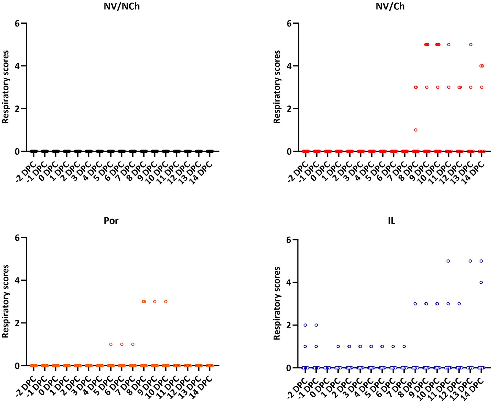 Four scatter graphs display respiratory scores over days post-challenge (DPC) for different groups: NV/NCh, NV/Ch, Por, and IL. NV/NCh shows no respiratory scores throughout. NV/Ch displays increasing scores after day eight. Por has scores rising slightly from five to ten. Some IL animals had respiratory signs before the challenge and then scores increased after day 8. Each graph uses a different color to represent data points.