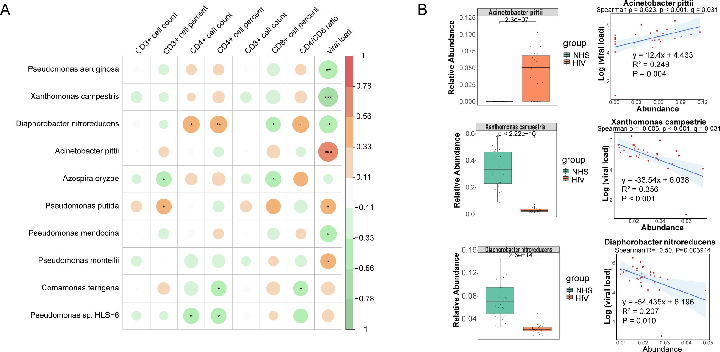 Panel A shows a correlogram of microbial associations with immune cell counts and viral load, using color and size to indicate correlation strength. Panel B includes box plots and scatter plots for Acinetobacter pittii, Xanthomonas campestris, and Diaphorobacter nitroreducens, comparing relative abundance between NHS and HIV groups, and displaying correlations with viral load. Statistical significance is indicated with p-values.
