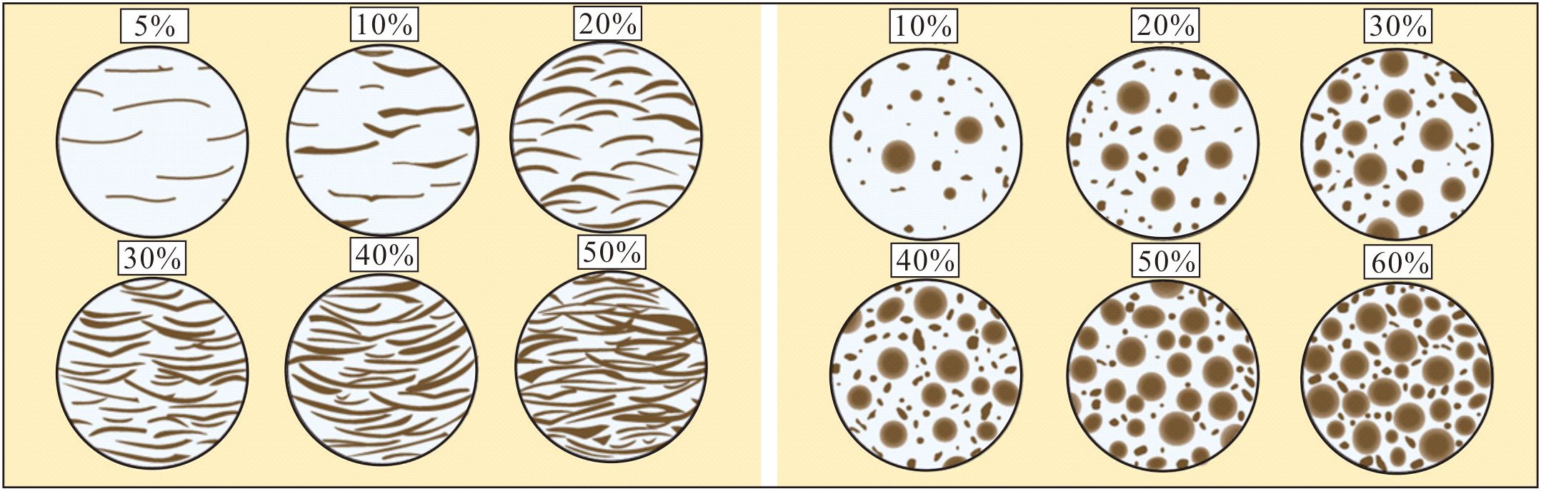 Visual comparison charts for estimating abundances of constituents in thin section, peels, and photographic or digital images.