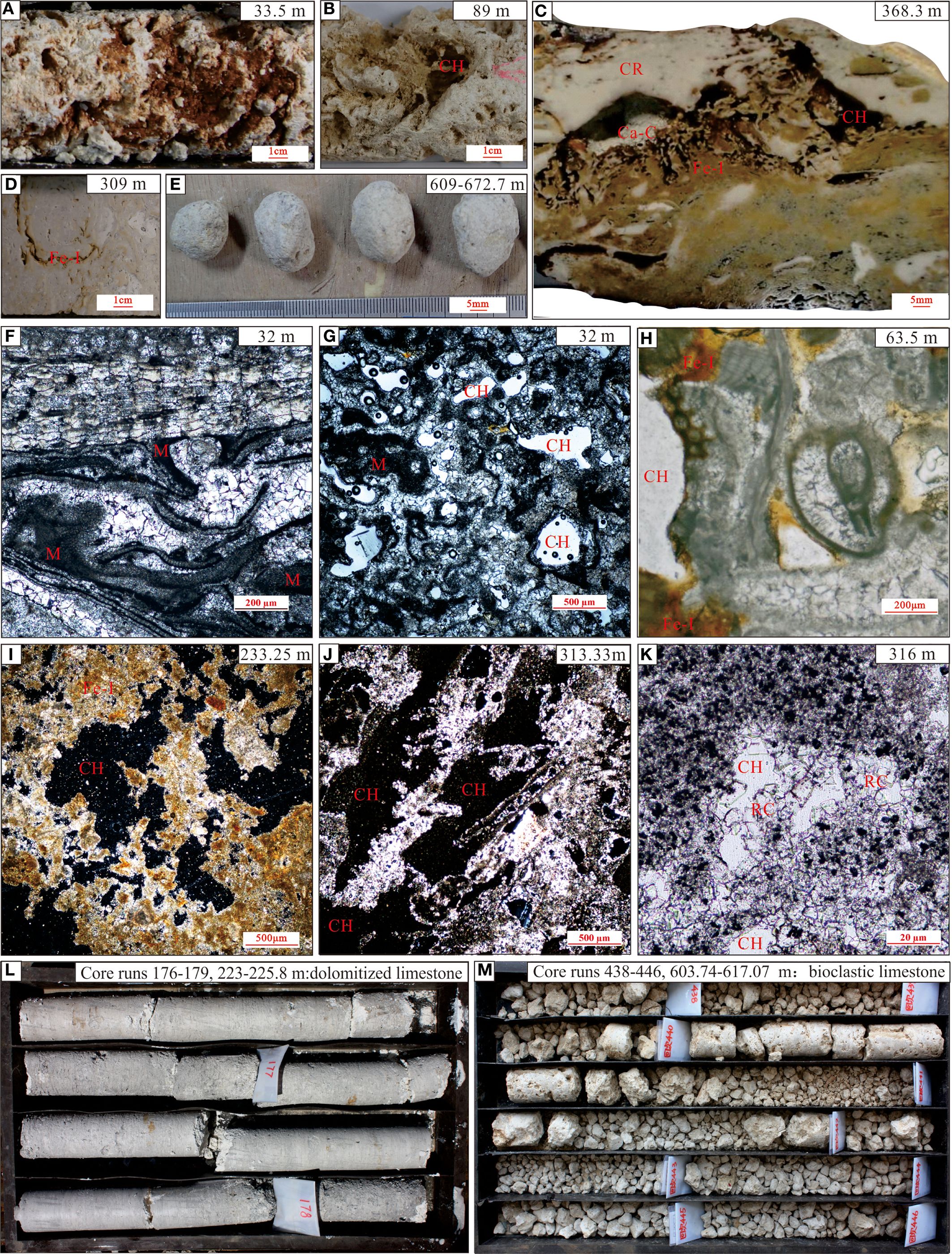 A series of geological core sample images, each from different depths, varying textures and compositions are labeled. The samples include dolomitized limestone and bioclastic limestone, with visible features such as microfossils, crystal formations, dissolution and recrystallization.