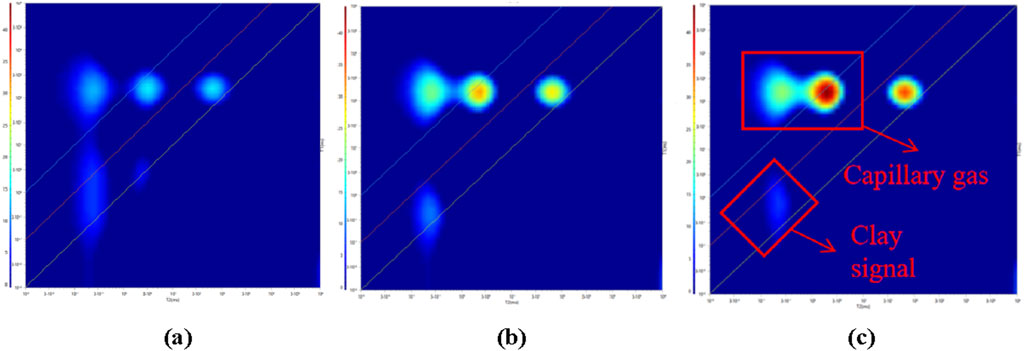 Three panels (a, b, c) showing color maps of FFI versus T2ms, with intensity variation from blue to red. Panel c highlights sections labeled as