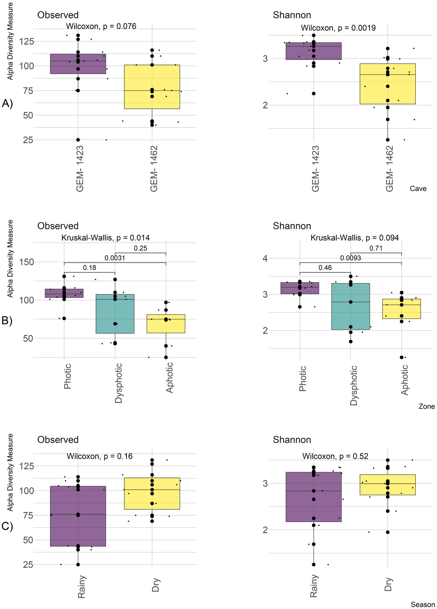 Box plots comparing alpha diversity indices (Observed and Shannon) across three sections: A) different cave sites, B) ecological zones (Pelagic, Dyspeptic, Aphotic), and C) seasons (Rainy, Dry). Statistical tests include Wilcoxon and Kruskal-Wallis with respective p-values provided above each plot. Notably, significant differences are marked in plots A and B for the Shannon index.