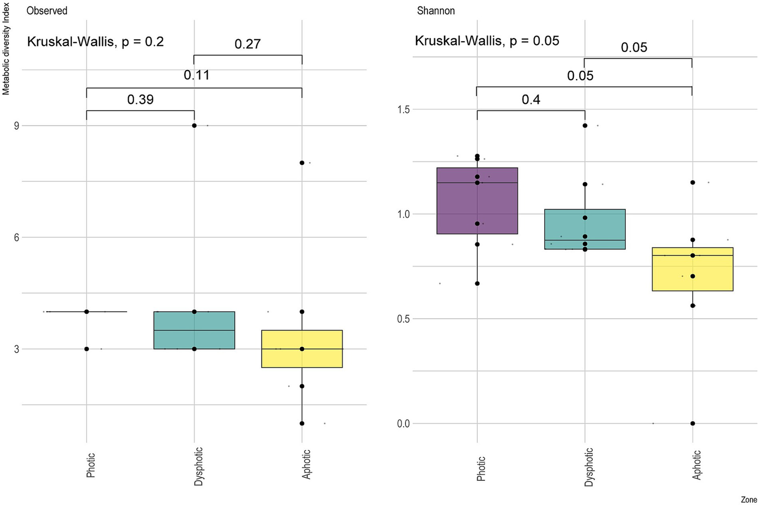 Boxplots compare metabolic diversity index and Shannon index across Photic, Dysphotic, and Aphotic zones. The Observed index has a Kruskal-Wallis p-value of 0.2, while the Shannon index shows a p-value of 0.05 with specific pairwise p-values labeled.