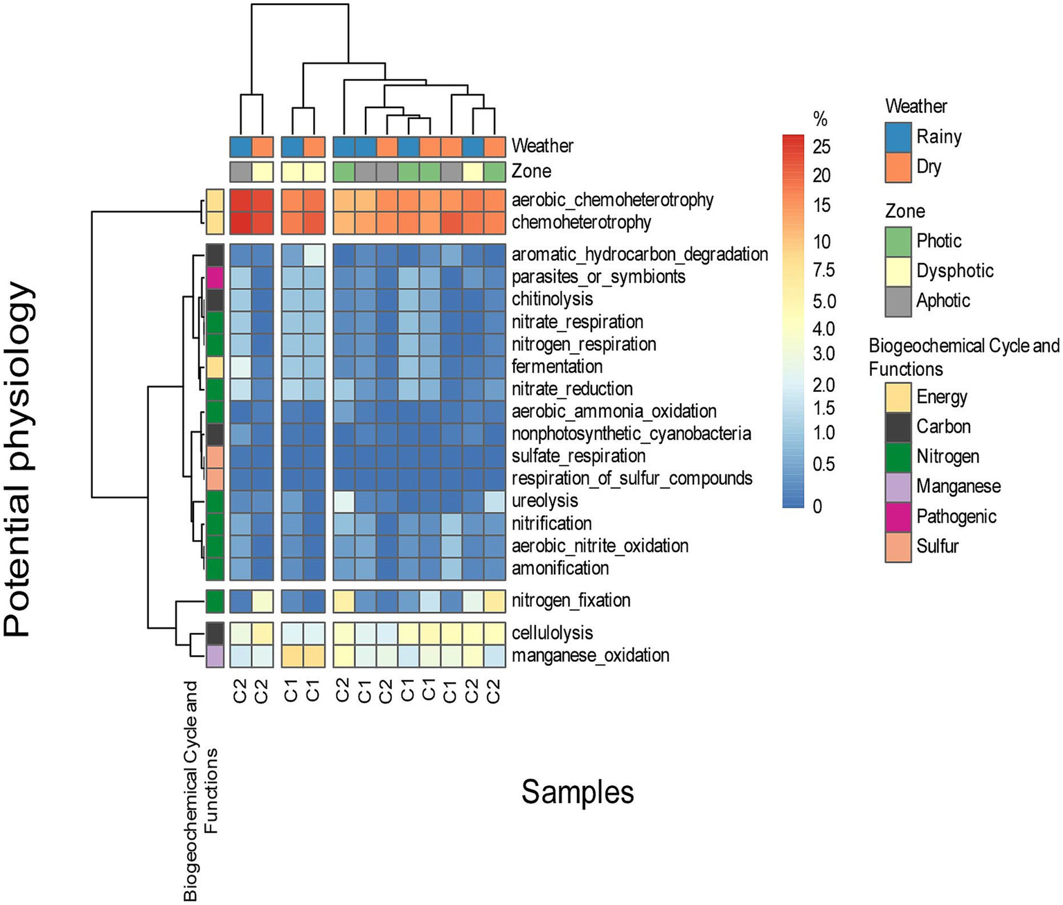 Heatmap visualization depicting potential physiological processes across different samples labeled C1 and C2. Rows represent various physiological functions, while columns indicate samples. A color scale signifies percentage presence, ranging from low (blue) to high (red). Accompanying legends display weather (rainy, dry), zone categories (photic, dysphotic, aphotic), and biogeochemical cycles/functions such as energy, carbon, nitrogen, manganese, pathogenic, and sulfur. Dendrograms are displayed on the left and top, indicating hierarchical clustering of samples and functions.
