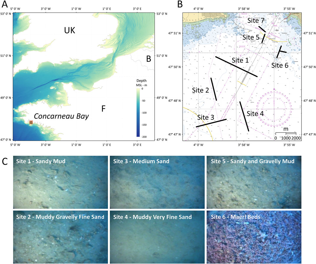 Map of Concarneau Bay showing bathymetric depth gradients and geolocation sites. Inset B details site coordinates, labeled one to seven. Section C presents images of seabed textures: Site 1 sandy mud, Site 2 muddy gravelly fine sand, Site 3 medium sand, Site 4 muddy very fine sand, Site 5 sandy and gravelly mud, and Site 6 maerl beds.