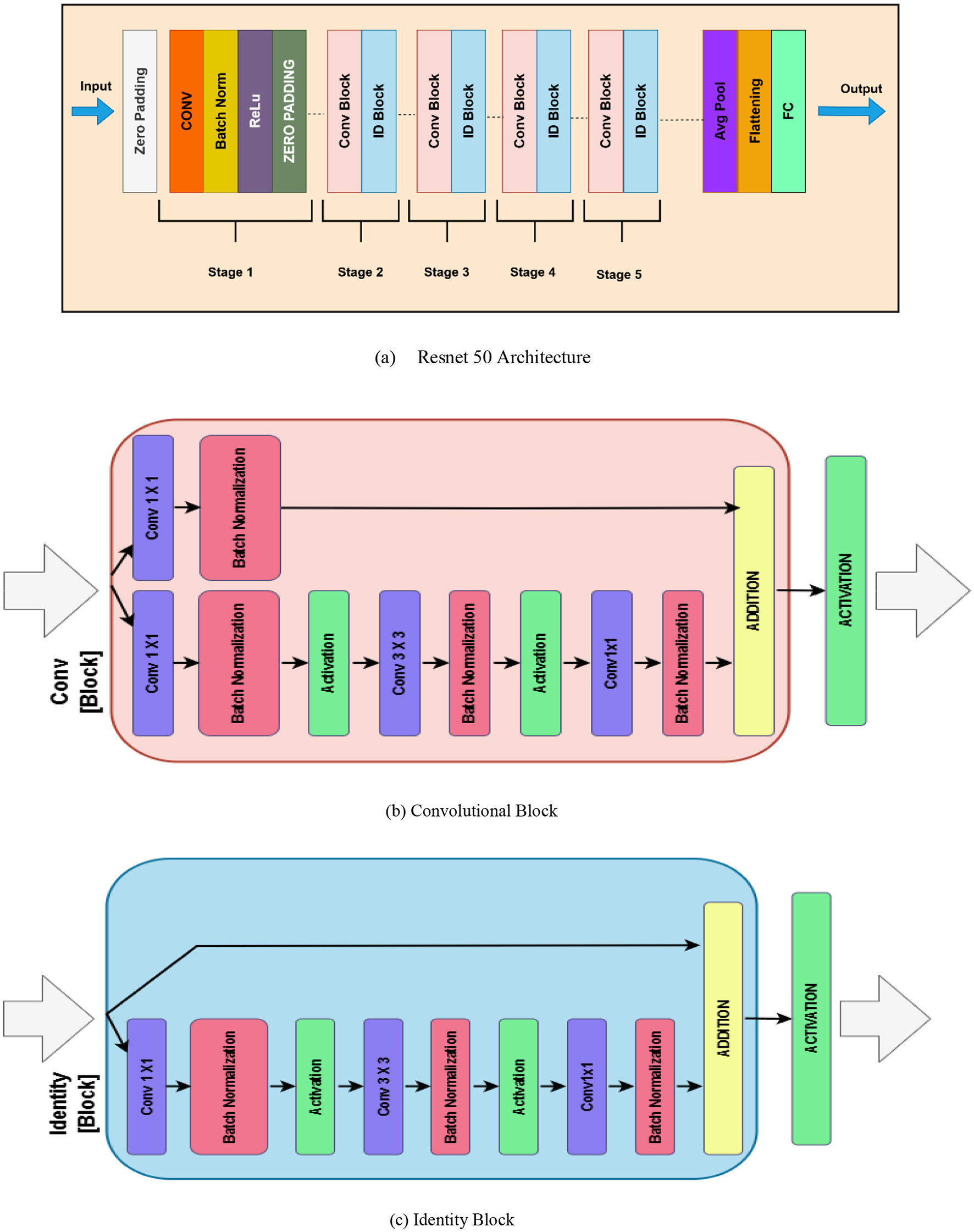 Diagram illustrating ResNet-50 architecture, convolutional block, and identity block. The ResNet-50 architecture comprises stages with convolutional and identity blocks, followed by average pooling and a fully connected layer. The convolutional block features convolution layers, batch normalization, activation, and addition. The identity block has similar components without initial downsampling. Arrows indicate data flow through layers.