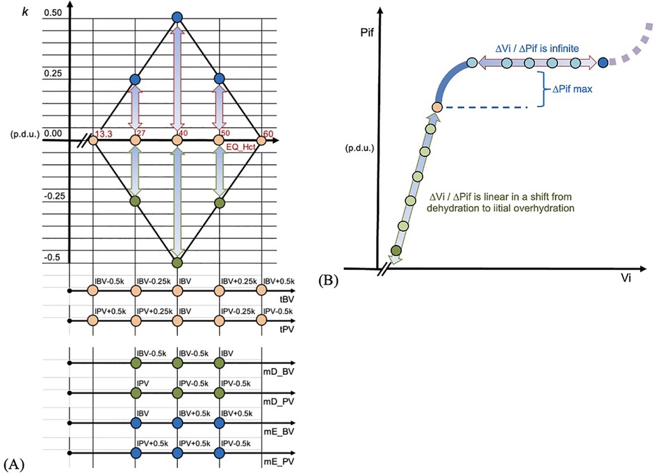 (A) A grid diagram with interconnected nodes in different colors representing various combinations of parameters like IBV(ideal blood volume) and IPV (ideal plasma volume). The y-axis indicates scale values, while the x axis represents EQ_Hct, tBV, mD_BV, and mE_PV. (B) A graph illustrating changes in Vi (interstitial fluid volume) and Pif (interstitial fluid pressure). The curve shows a progression from initial overhydration to dehydration, with annotations indicating changes in ratio and maximum pressure difference.