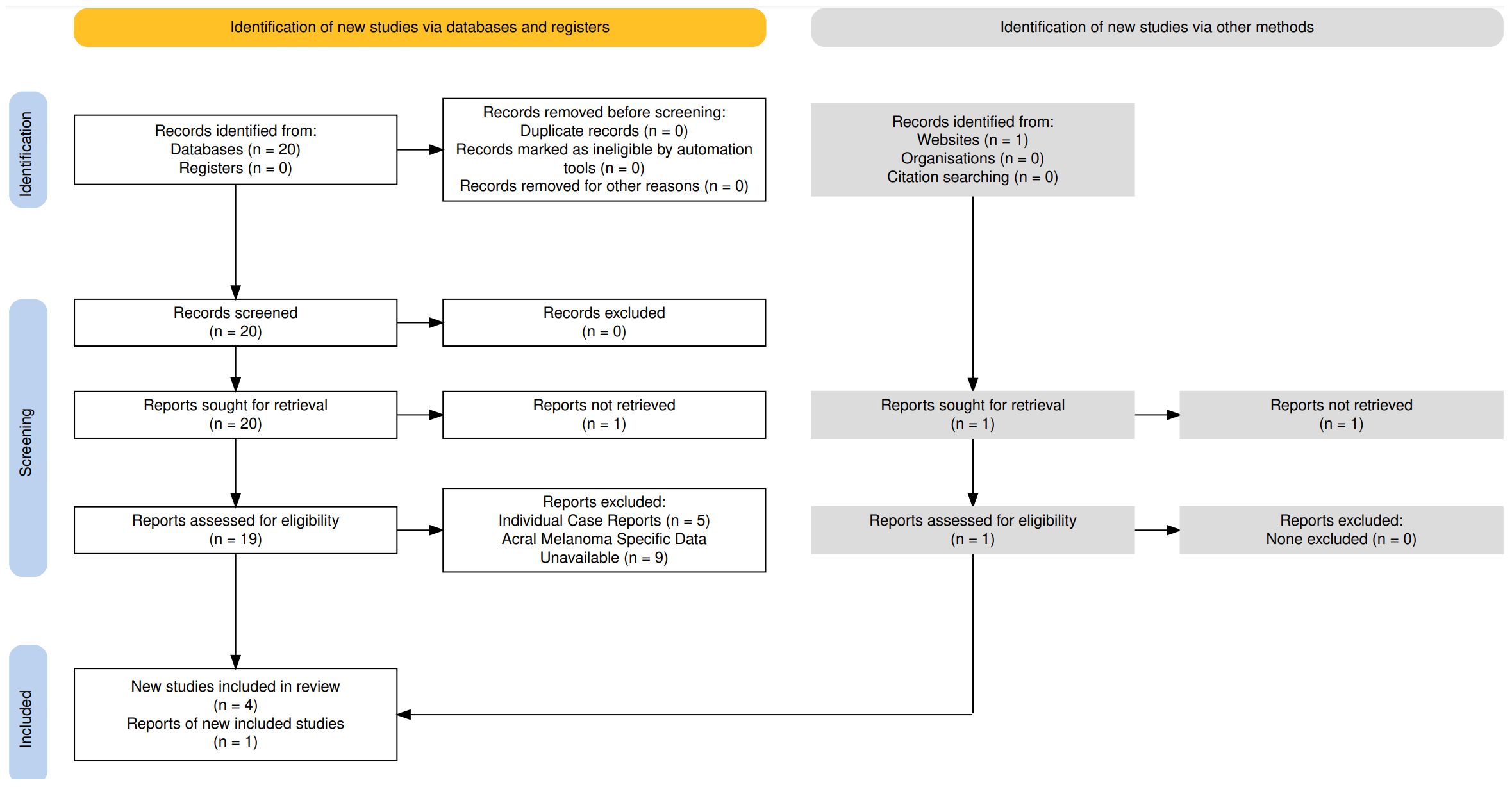 Flowchart illustrating the identification process of new studies. For databases and registers: 20 records identified, 20 screened, 0 excluded, 19 assessed for eligibility, resulting in 4 new studies included. Nine reports had unavailable specific data, 5 were individual case reports. For other methods: 1 record identified, 0 excluded, 1 assessed, none excluded, and 1 new study report included. Total included: 4 studies and 1 new study report.