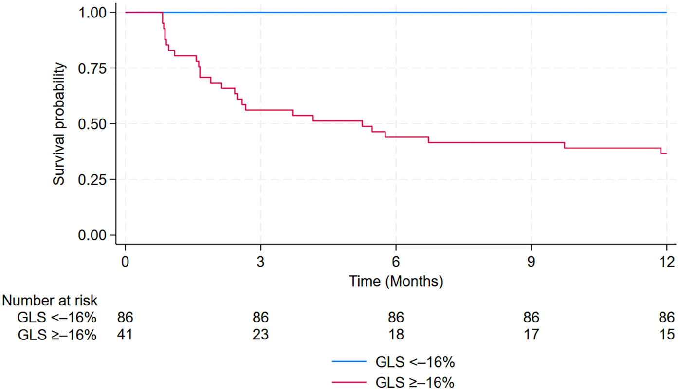 A Kaplan-Meier survival curve comparing two groups based on GLS percentages over 12 months. The blue line represents GLS less than or equal to -16% (negative 16%), showing no decline in survival probability. The red line represents GLS greater than or equal to -16% (negative 16%), indicating a gradual decrease in survival probability. The number at risk is displayed below for both groups at 0, 3, 6, 9, and 12 months.
