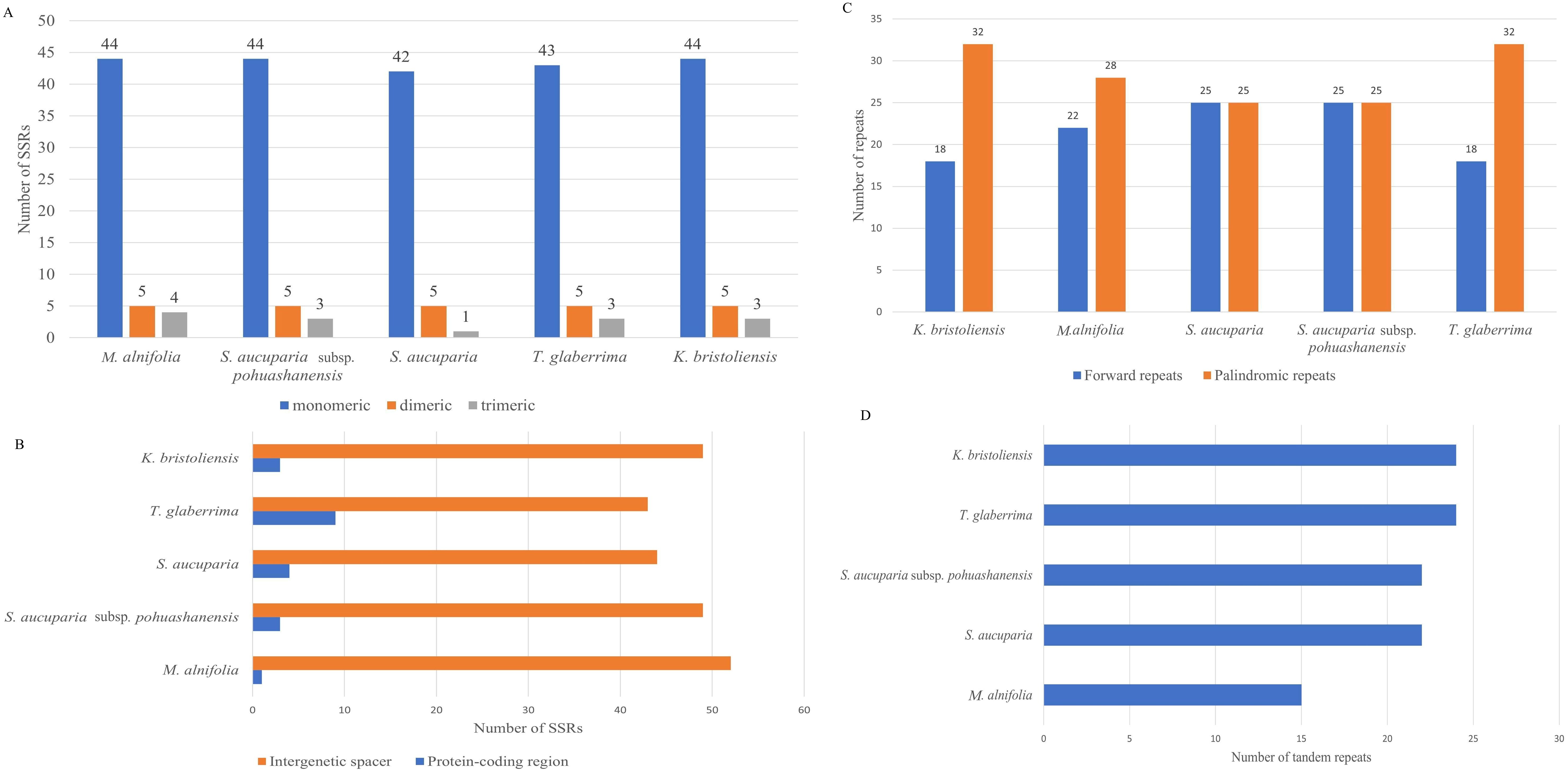 Panel A shows a bar chart of the number of SSRs in different species, categorized as monomeric, dimeric, and trimeric. Panel B presents the number of SSRs in intergenetic spacers and protein-coding regions. Panel C displays forward and palindromic repeat numbers in various species. Panel D depicts the number of tandem repeats in different species.