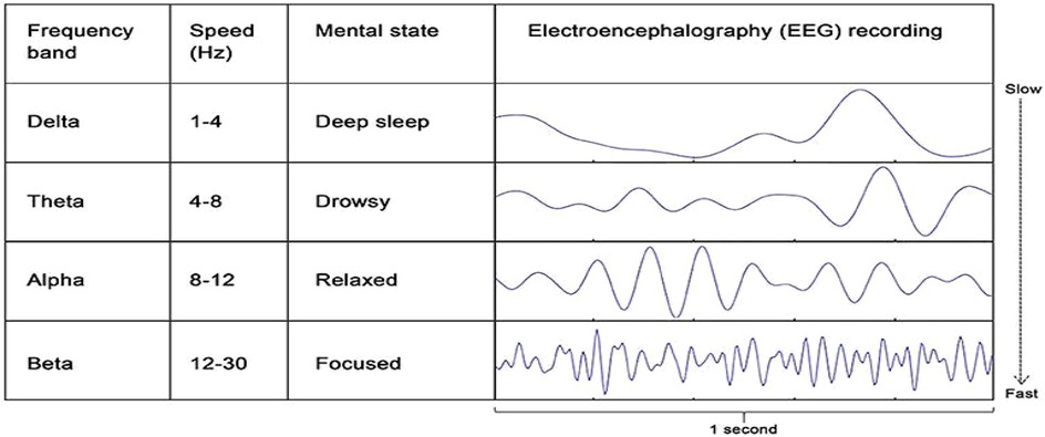 Table showing four EEG frequency bands, their speed in hertz, associated mental states, and waveforms. Delta (1-4 Hz, deep sleep) with slow waves. Theta (4-8 Hz, drowsy) with slightly faster waves. Alpha (8-12 Hz, relaxed) with moderate waves. Beta (12-30 Hz, focused) with rapid waves.