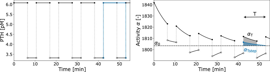 Two side-by-side graphs are depicted. The left graph shows PTH levels in picomoles per liter over time with fluctuations between 3.5 and 6.0, marking distinct periodic rises and falls. The right graph illustrates activity over time, starting at about 1840, displaying a declining trend with periodic drops, labeled with alpha subscript symbols indicating different activities and time points. An arrow labeled