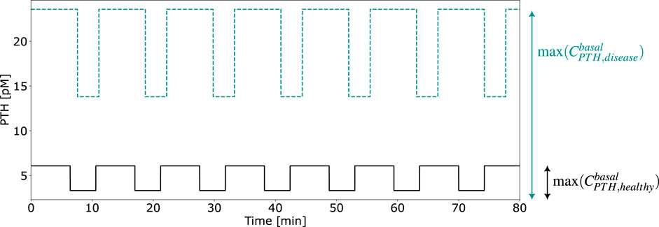 Graph illustrating PTH (parathyroid hormone) levels over time in minutes. The black line represents healthy basal PTH levels with a maximum at 5 pM, while the dashed green line shows disease-related levels peaking at 20 pM. Both display periodic fluctuations.