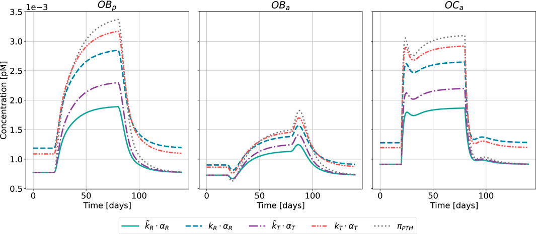 Three line graphs compare the concentration over time for OBₚ, OBₐ, and OCₐ across 120 days. Each plot uses different colored and styled lines to represent variables such as \(\tilde{k}_R \cdot \alpha_R\), \(k_R \cdot \alpha_R\), \(\tilde{k}_T \cdot \alpha_T\), \(k_T \cdot \alpha_T\), and \(\pi_{PTH}\). The y-axis measures concentration in picomoles per liter, and the x-axis represents time. Peaks are noted around the midpoint of each timeframe.