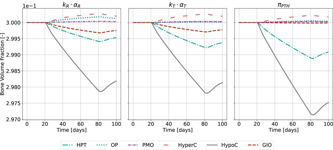 Three line graphs compare bone volume fraction over 100 days under different conditions: \( k_R \cdot \alpha_R \), \( k_T \cdot \alpha_T \), and \( \pi_{\text{PTH}} \). Each graph includes lines for HPT, OP, PMO, HyperC, HypoC, and GIO, with varying trends. All show a decline or stability in values, with HypoC showing a marked decrease across graphs.