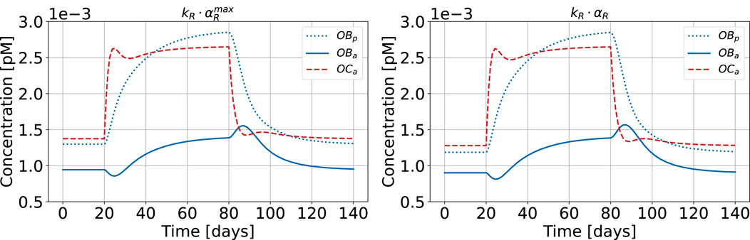 Two line graphs compare concentrations over time, measured in picomoles per liter, across 140 days. The left graph shows results for \( k_R \cdot \alpha_R^{\text{max}} \), and the right for \( k_R \cdot \alpha_R \). Both graphs display similar trends, with dotted blue, solid blue, and dashed red lines representing different variables. The dotted blue line peaks around 40 days, the solid blue line gradually rises, and the dashed red line fluctuates around higher values. A legend identifies each line.