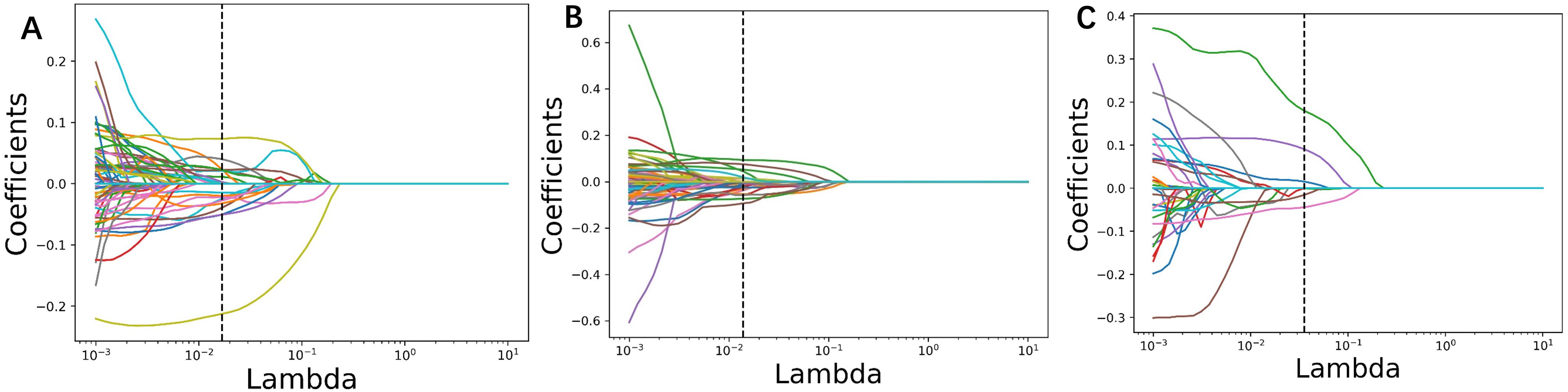 Three plots (A, B, C) show coefficient paths for varying lambda values on a logarithmic scale. Each plot displays multiple lines representing coefficients that converge towards zero as lambda increases. A vertical dashed line indicates a specific lambda value on each plot.
