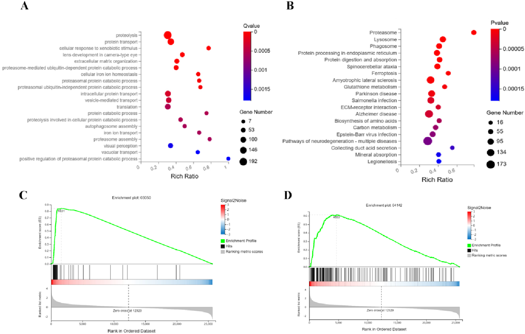 Scatter plots A and B depict gene set enrichments with varying gene numbers, represented by circle sizes and rich ratios on the x-axis. The color scale indicates Q-values and P-values, respectively. Plots C and D are enrichment plots showing enrichment scores over gene rankings, with signal-to-noise color bars indicating hits and metric scores.