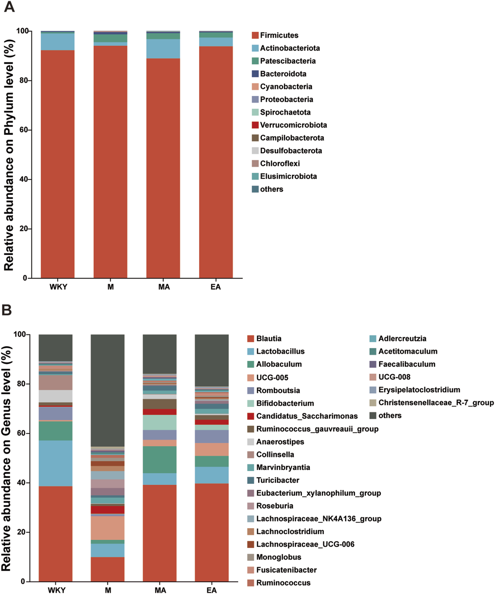 Stacked bar charts showing the relative abundance of microbial communities. Chart A displays phylum-level data, with Firmicutes dominating across all groups: WKY, M, MA, and EA. Chart B indicates genus-level abundance, highlighting Blautia, Lactobacillus, and others. Both charts have a legend identifying taxa by color.