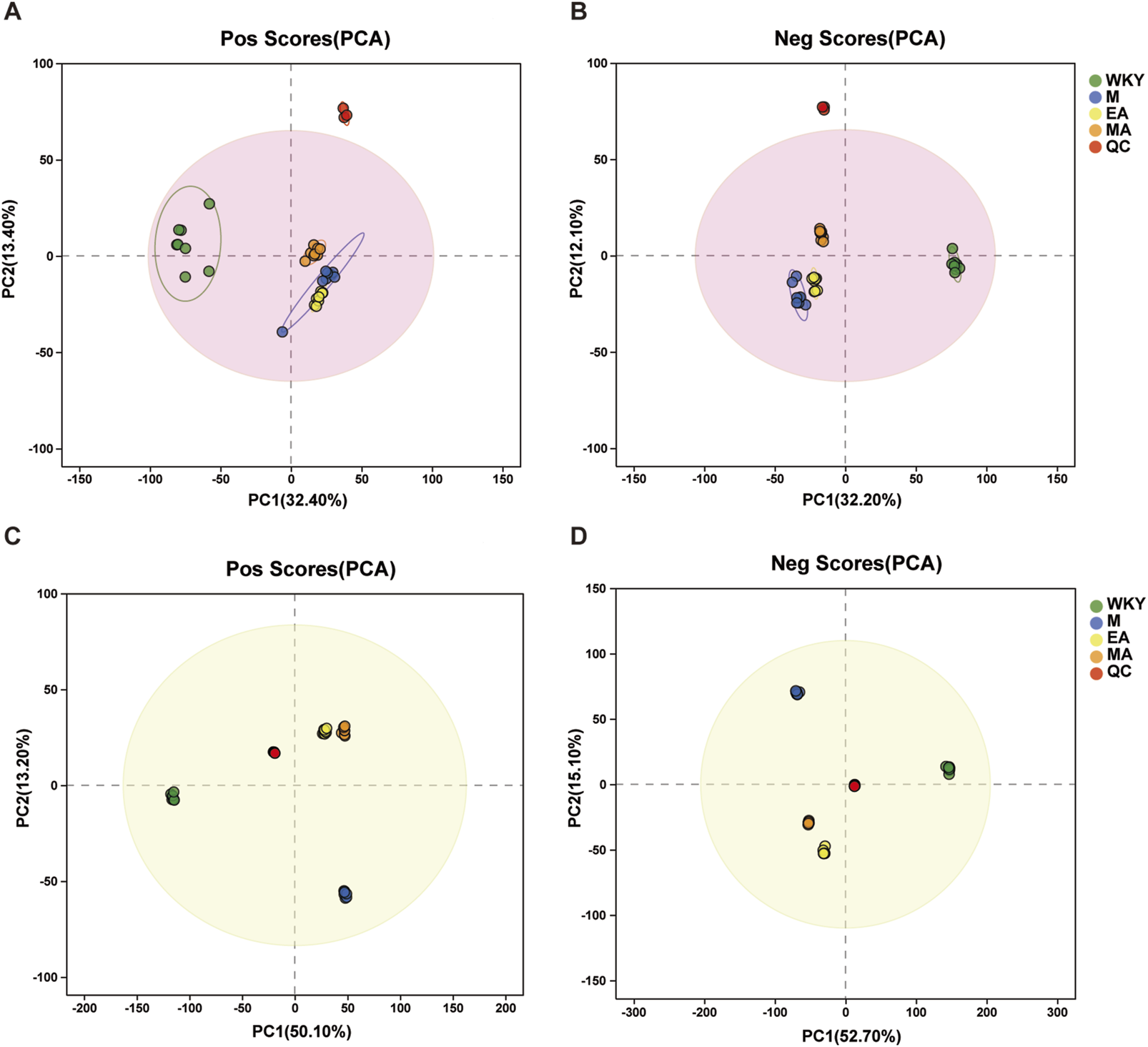 Four principal component analysis (PCA) scatter plots display the distribution of scores. Plots A and B show positive and negative scores with percentages of variance explained as PC1 and PC2, with color-coded groupings for WKY, M, EA, MA, and QC. Plots C and D depict different percentages for positive and negative scores. Ellipses indicate confidence intervals.