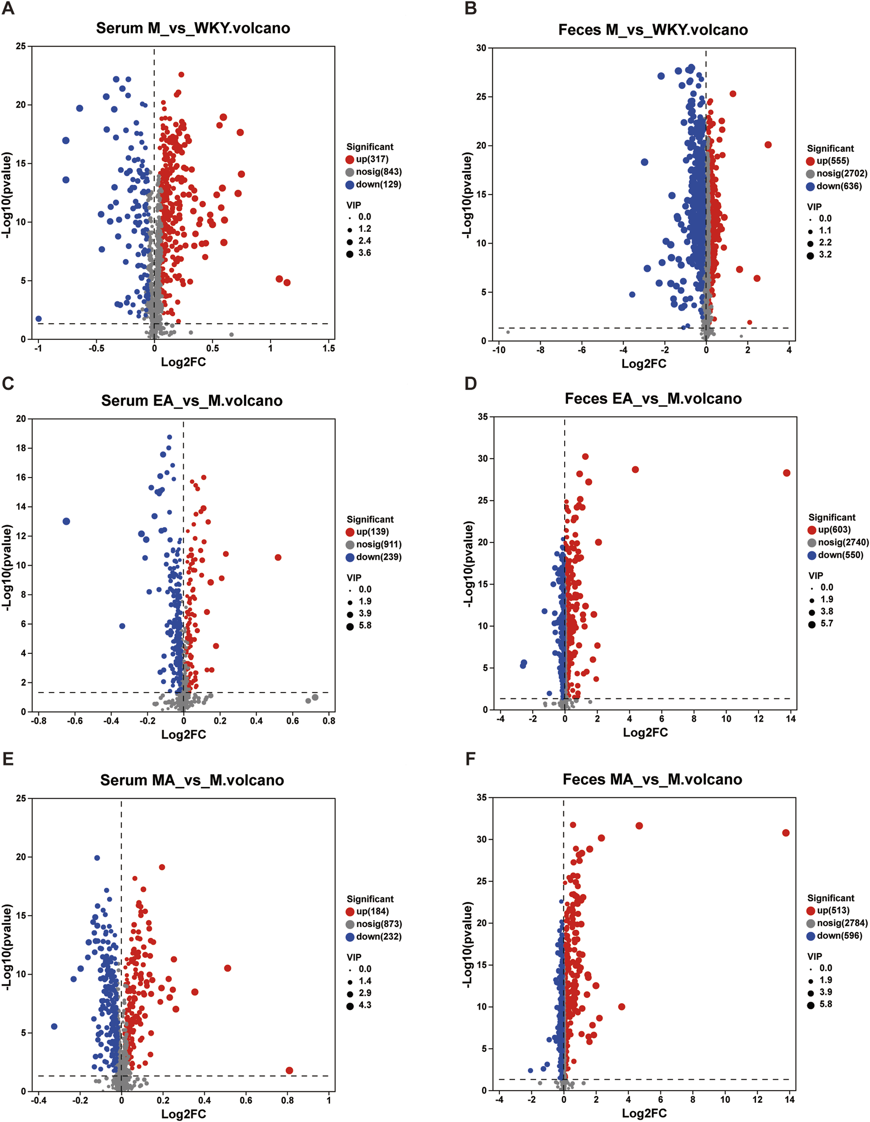 Six volcano plots display differential expression data: A) "Serum M vs. WKY" shows significance of up, down, and no significant genes. B) "Feces M vs. WKY" highlights similar results with different gene counts. C) "Serum EA vs. M" contrasts expression changes with fewer significant genes. D) "Feces EA vs. M" presents a wide range of log2 fold changes. E) "Serum MA vs. M" illustrates moderate changes. F) "Feces MA vs. M" depicts a broad range of expression differences, indicating most significant genes. Each plot uses color coding for gene significance and point size for VIP values.