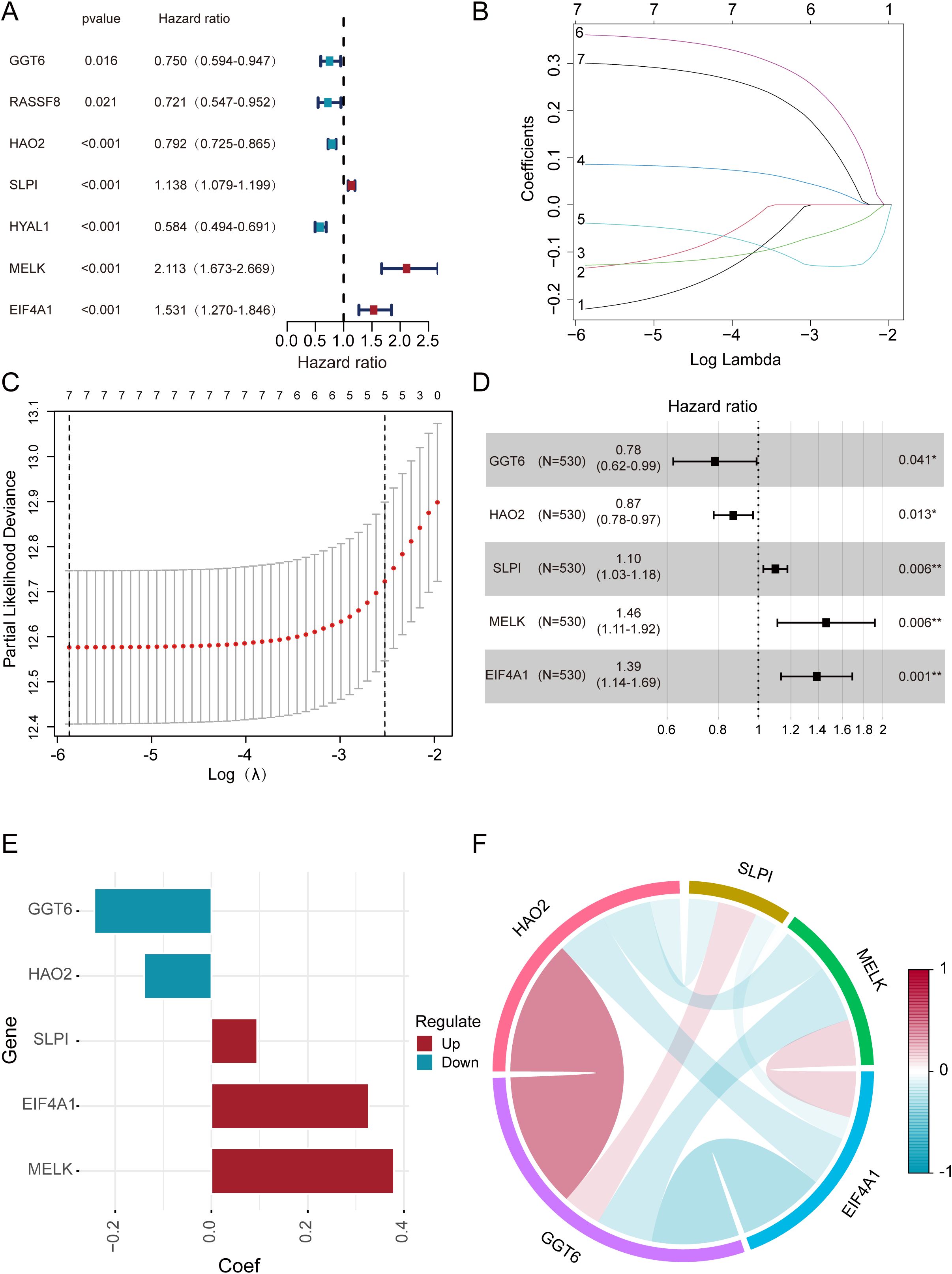 Panel A shows hazard ratios and p-values for genes, with a line plot indicating risk associations. Panel B displays a coefficient plot against log lambda values. Panel C illustrates partial likelihood deviance against log lambda with error bars. Panel D lists specific hazard ratios for genes, with visual indicators. Panel E is a bar chart showing up and down regulation of genes. Panel F presents a circular plot indicating relationships between genes with a color gradient legend.