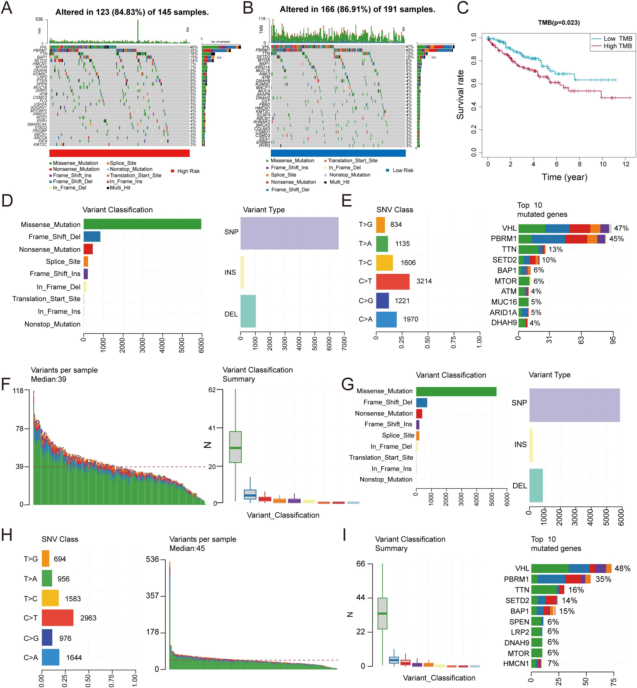 Panel A and B show mutation profiles of samples with percentages. Panel C displays a Kaplan-Meier survival curve comparing low and high tumor mutational burden. Panel D to I include bar graphs and box plots detailing variant classifications, types, and single nucleotide variant classes. Top mutated genes are listed with associated percentages. Labels indicate methodologies, and statistical data are prominently shown.