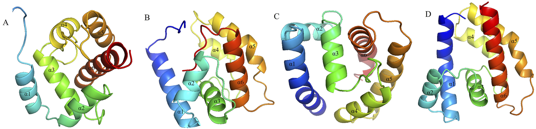 Four colored 3D molecular structures labeled A, B, C, and D are shown. Each structure consists of coiled alpha helices numbered α1 to α6. The helices are depicted in various colors including blue, green, yellow, red, and orange, indicating different segments or functional regions of the molecules.
