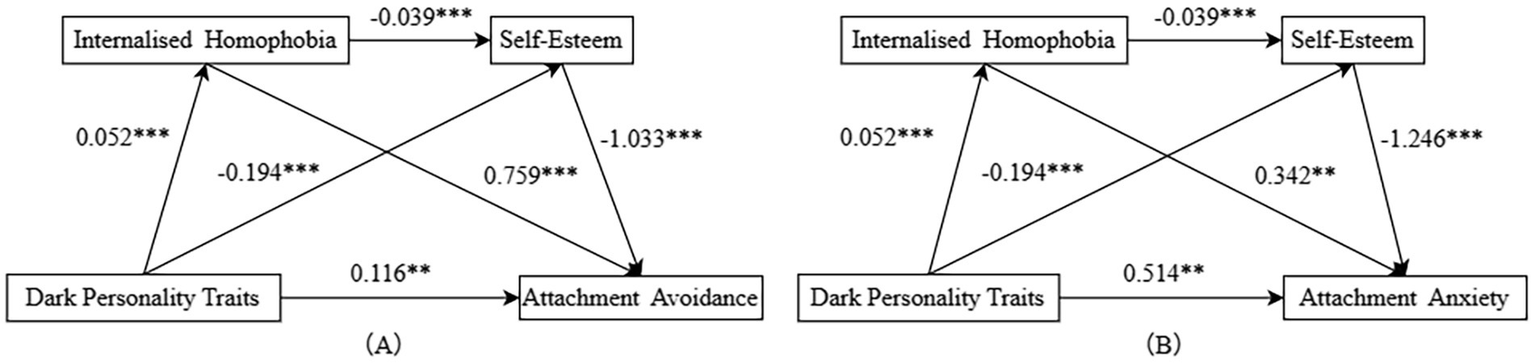 Diagrams show structural models examining the relationship between internalised homophobia, dark personality traits, attachment avoidance or anxiety, and self-esteem. Diagram A links attachment avoidance, and Diagram B links attachment anxiety. Arrows represent causal paths with coefficients: 0.052, -0.194, -0.039, 0.759, -1.033, and 0.116 for (A); 0.052, -0.194, -0.039, 0.342, -1.246, and 0.514 for (B). Significant paths are marked with asterisks.