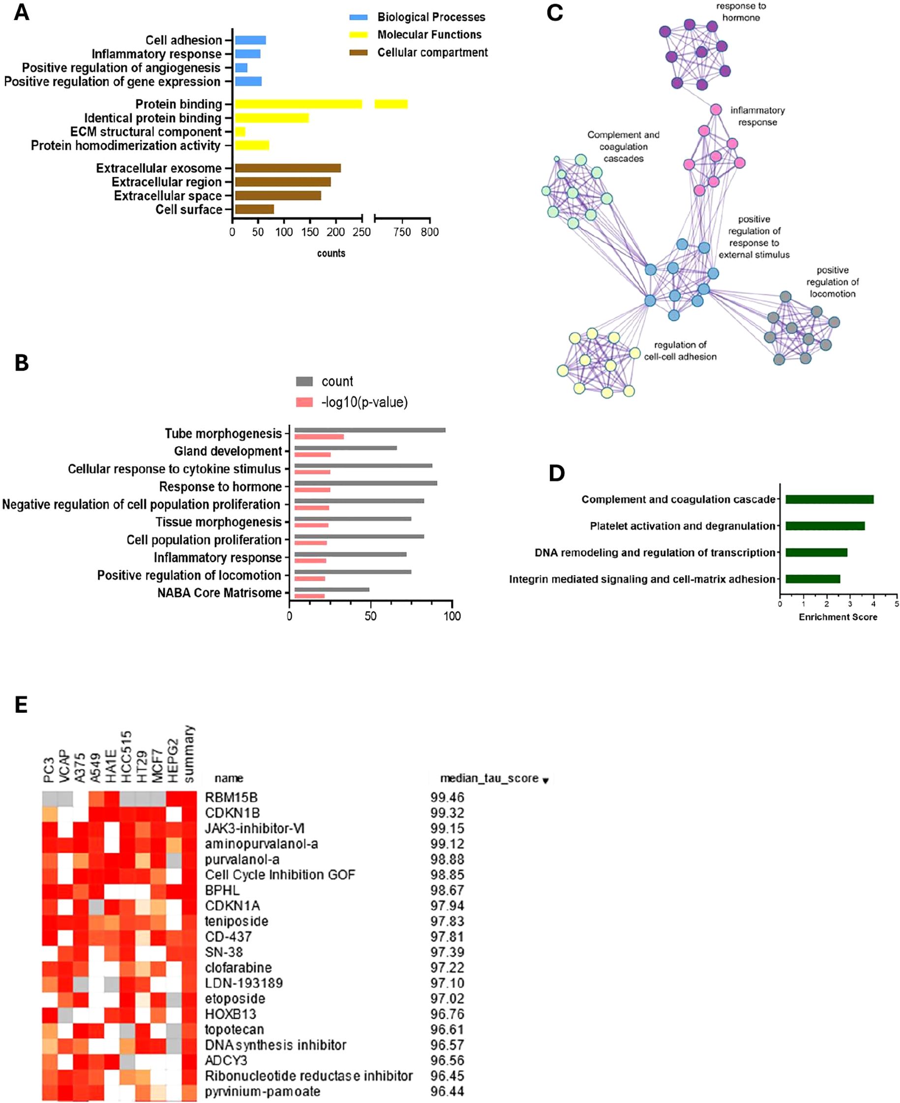 This image contains five panels depicting various data visualizations related to biological processes and molecular functions occuring in endometriosis lesions compared to eutopic endometrium. Panel A shows a bar graph categorizing processes like cell adhesion and inflammatory response across different compartments and functions. Panel B presents a bar graph with gray and red bars showing counts and significance levels for key processes in endometriosis. Panel C illustrates a network diagram highlighting interactions like inflammatory response, hormonal response and regulation of cell-cell adhesion. Panel D features a bar graph of enrichment scores for the top four most enriched terms. Panel E displays a heatmap with median tau scores for various inhibitors across different cell lines highlighting the most likely therapy candidates.