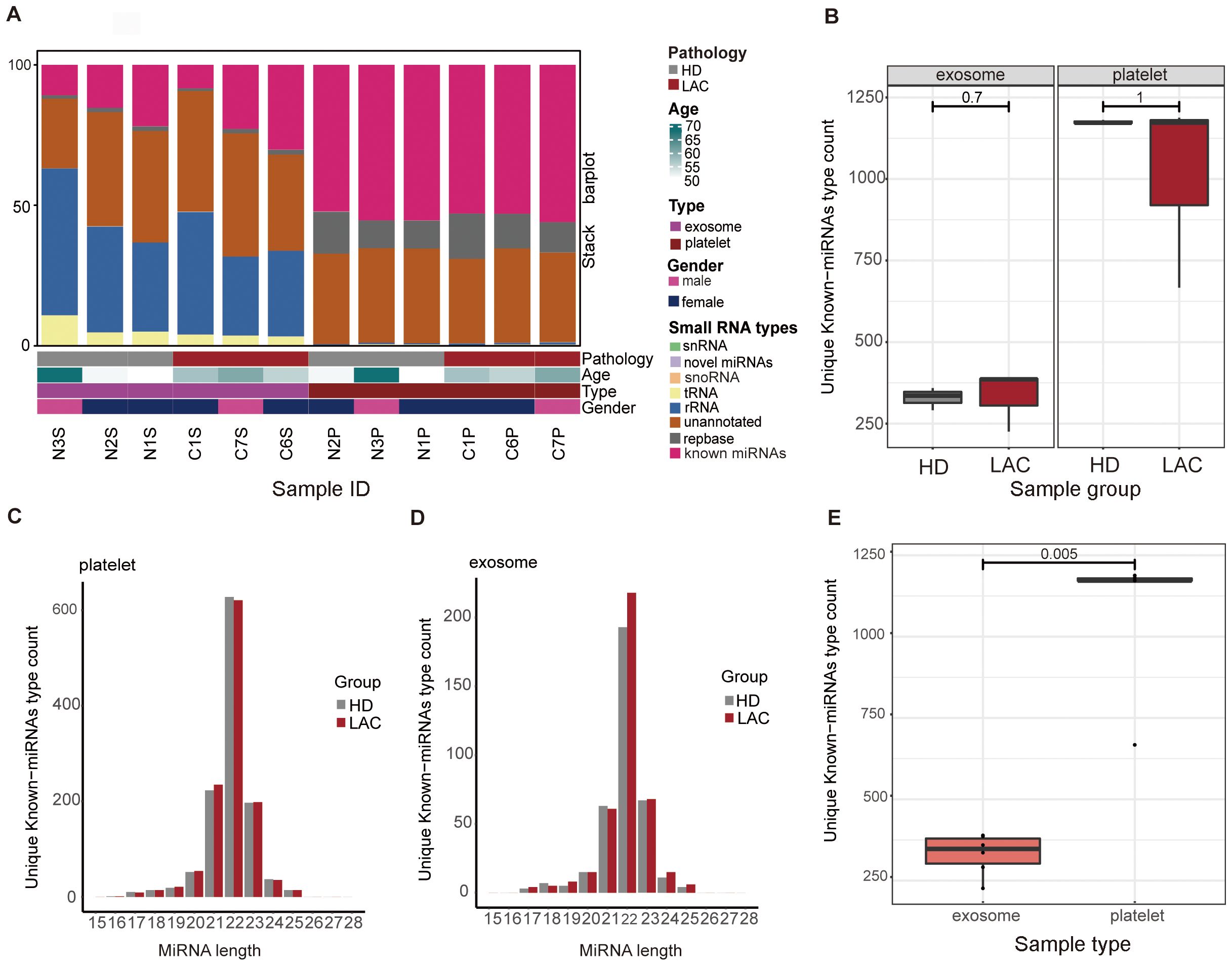 A composite figure consisting of several panels comparing miRNA data: A. A stacked bar plot showing the distribution of small RNA types across different samples labeled by pathology, age, type, and gender. B. Boxplots comparing unique known miRNAs between exosome and platelet types in HD and LAC groups, with marked statistical differences. C. Bar chart displaying unique known miRNA counts by miRNA length in platelets for HD and LAC groups. D. Bar chart displaying unique known miRNA counts by miRNA length in exosomes for HD and LAC groups. E. Boxplot comparing unique known miRNAs between exosome and platelet types, with significant statistical annotation.