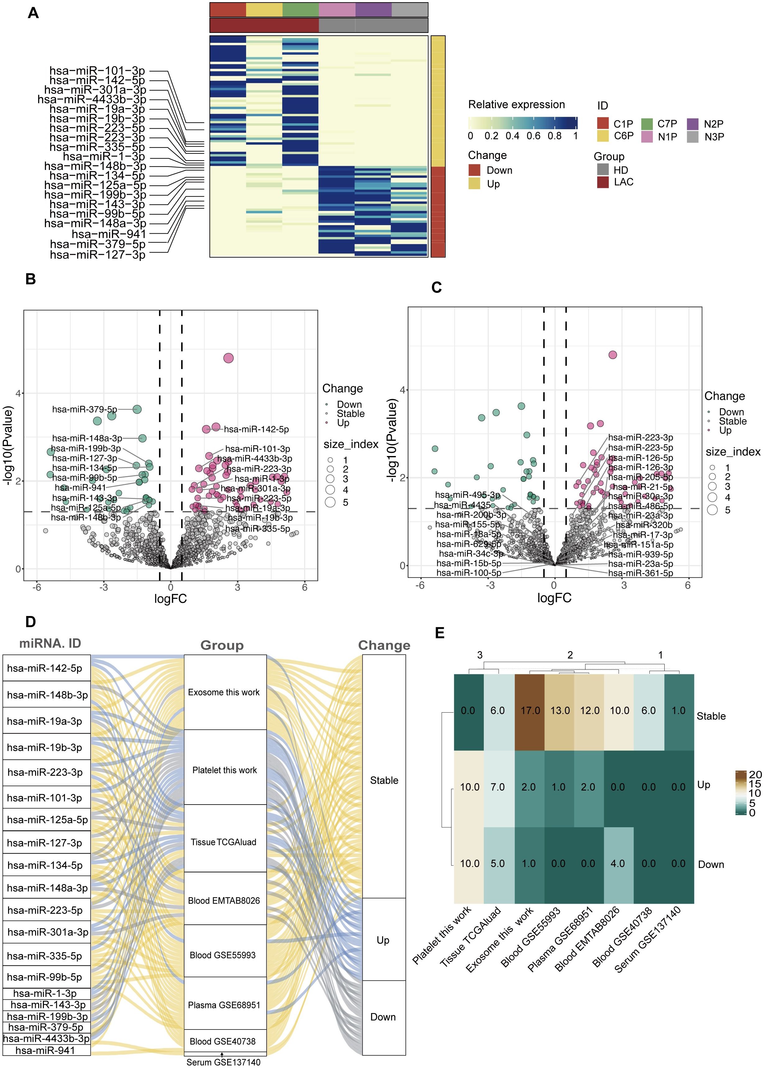 Clustered heatmap, volcano plots, and a Sankey diagram depict miRNA expression changes. Panel A shows a heatmap of miRNA expression levels categorized by change and group. Panels B and C are volcano plots illustrating log fold change versus -log10 p-value, highlighting upregulated and downregulated miRNAs. Panel D is a Sankey diagram showing miRNA changes across different sample groups. Panel E is a heatmap summarizing the number of stable, upregulated, and downregulated miRNAs in each group. The diagrams collectively assess differential miRNA expression across various conditions and sample types.