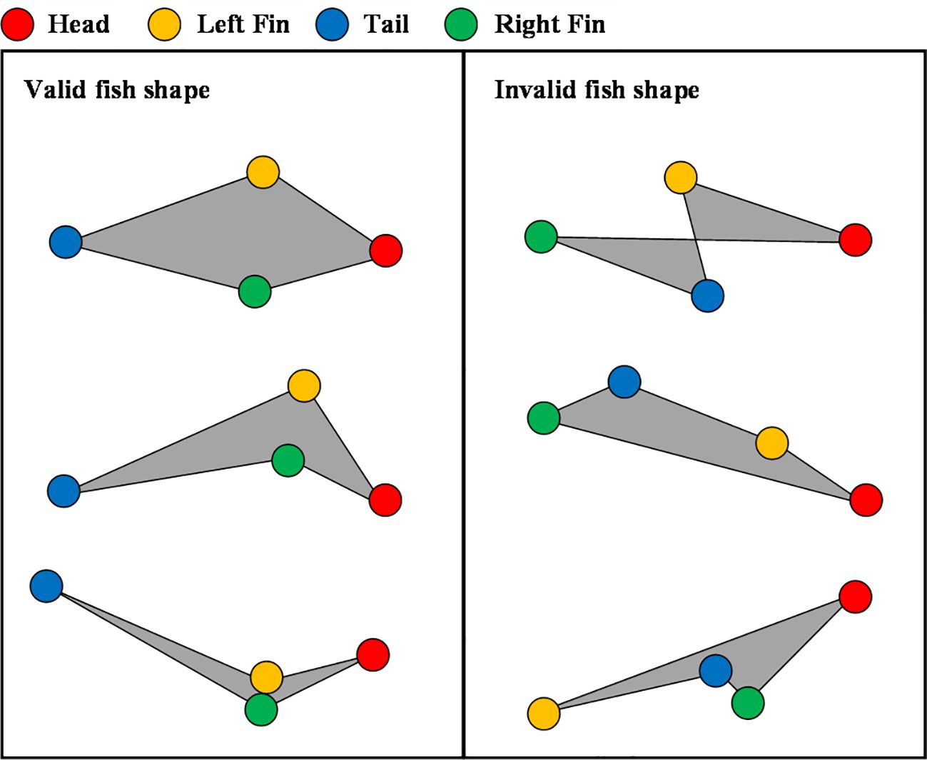 Diagram comparing valid and invalid fish shapes. Valid shapes on the left have a fin-shaped configuration with colored dots: red for head, yellow for left fin, blue for tail, and green for right fin. Invalid shapes on the right show incorrect configurations where lines intersect or are misaligned.
