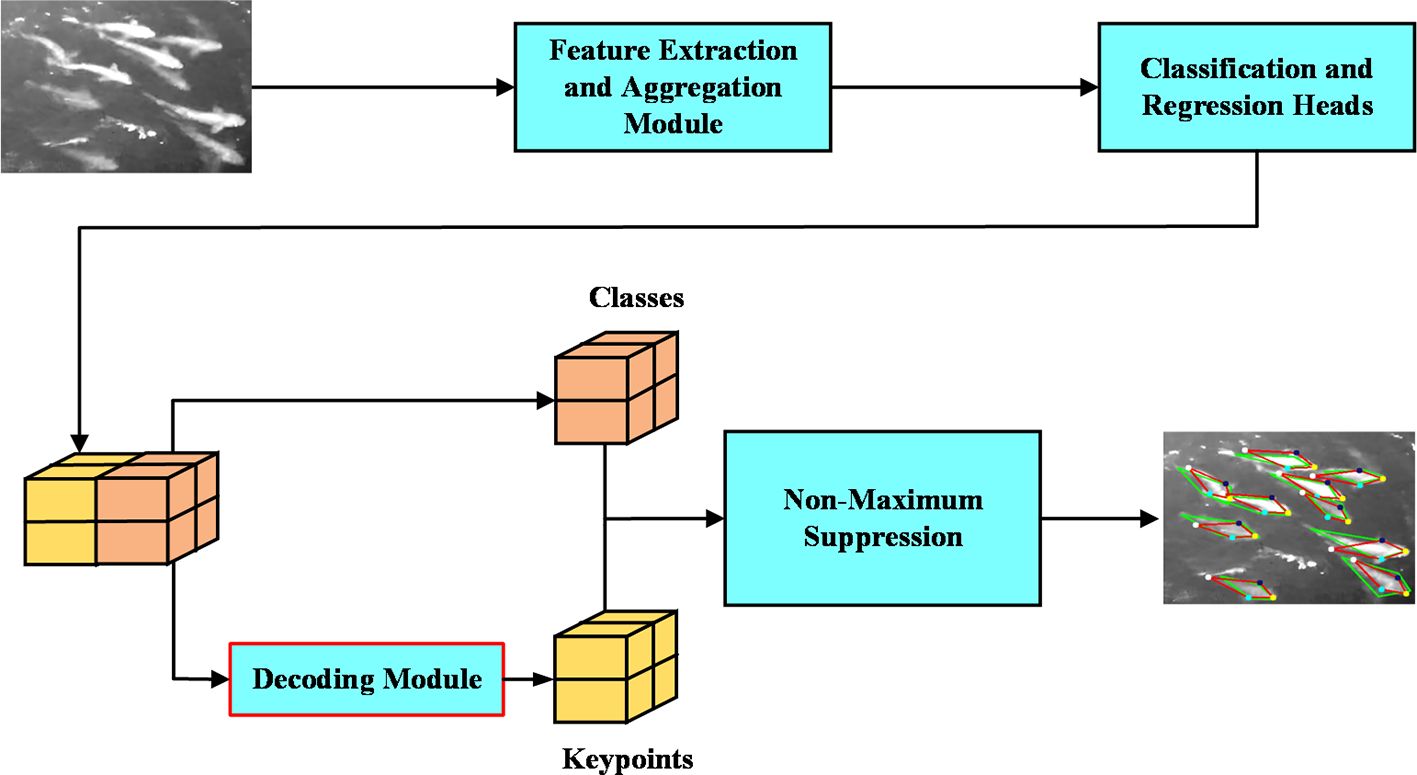 Diagram showing a process flow for object detection in images. Initial image passes through a Feature Extraction and Aggregation Module, then to Classification and Regression Heads. Outputs include Classes and Keypoints, which feed into a Decoding Module. Results undergo Non-Maximum Suppression, producing a final image with highlighted objects.