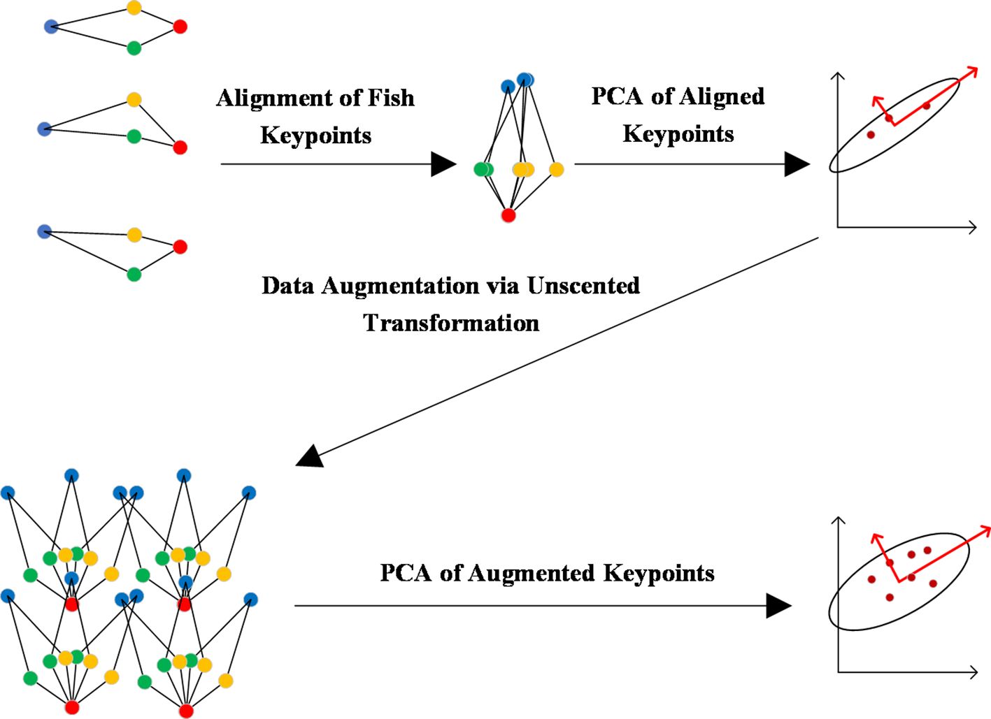 Diagram illustrating the alignment and augmentation of fish keypoints using unscented transformation. The process includes aligning fish keypoints, performing PCA on them, applying data augmentation, and conducting PCA again. Arrows indicate the workflow.