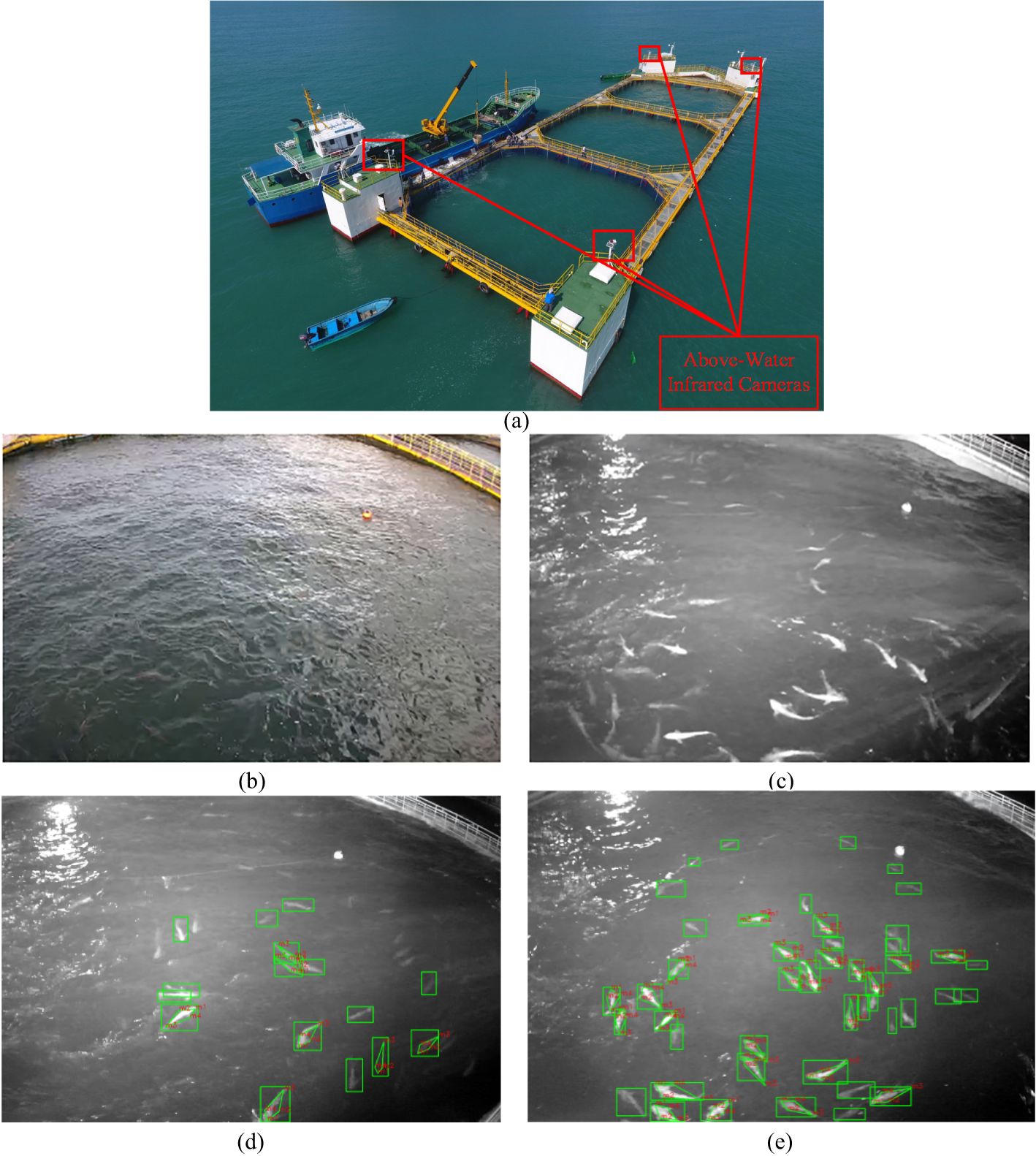 A series of images showing a marine aquaculture setup and fish detection. Image (a) displays a floating fish farm in a body of water with inset locations marked. Image (b) shows the netted enclosure with visible water surface. Image (c) captures fish underwater in grayscale. Images (d) and (e) show fish movement with green bounding boxes indicating fish detection, increasing in density from left to right.