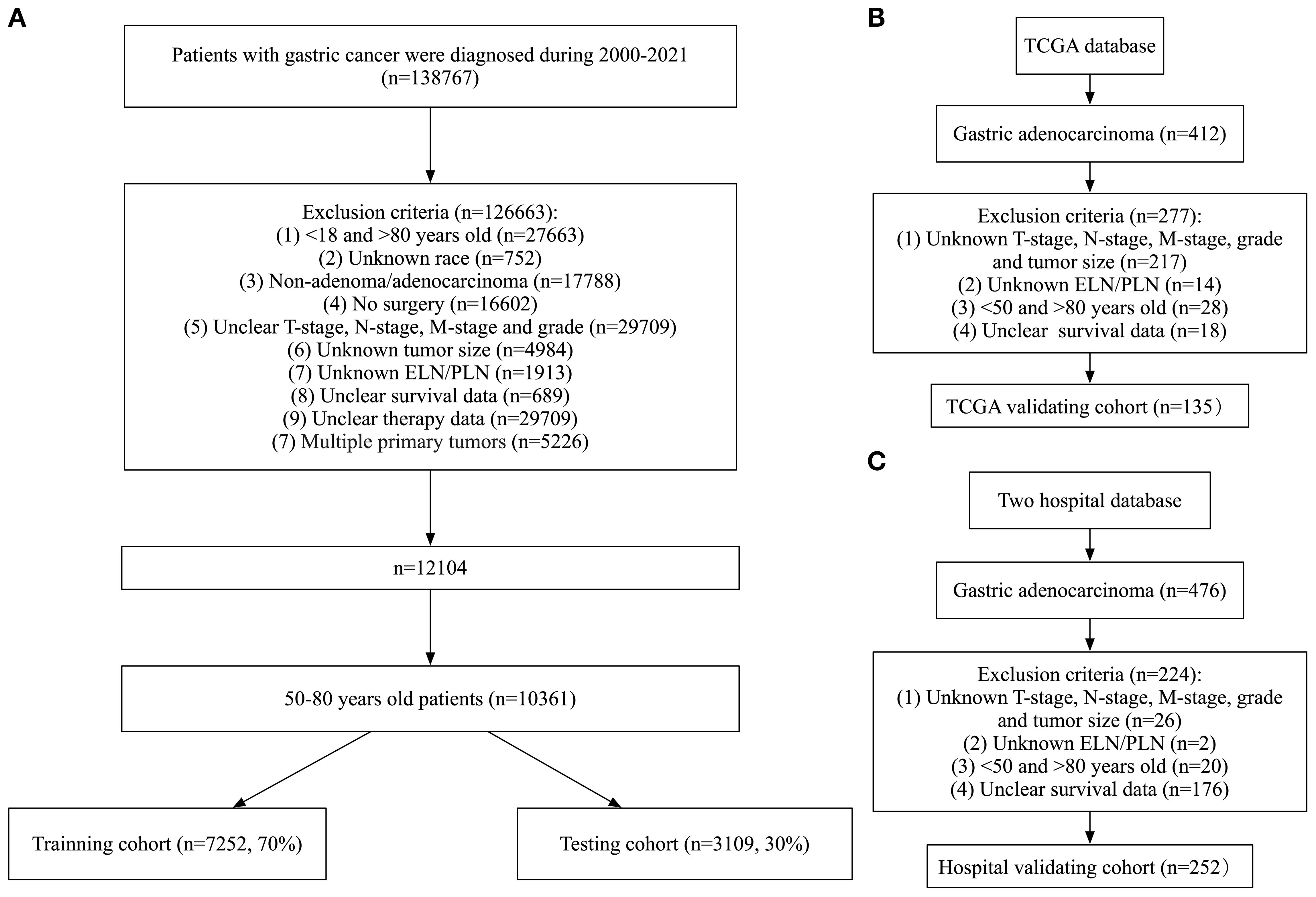 Flowchart outlining patient exclusion criteria for gastric cancer studies across three databases: A) Initial database: 138,767 patients with exclusions for age, unknown race, cancer type, and other criteria, resulting in 10,361 patients aged 50-80, split into training (7,252) and testing cohorts (3,109). B) TCGA database: 412 patients with exclusions for staging, age, and data clarity, resulting in 135 for validation. C) Two hospital database: 476 patients with similar exclusions, resulting in 252 for validation.