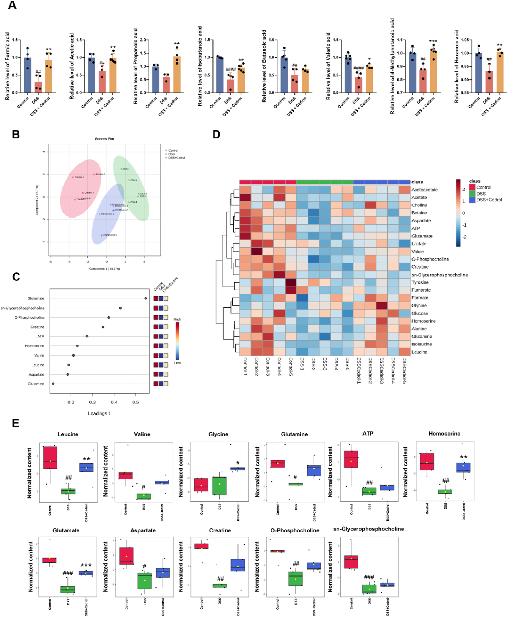 Graphs and charts analyzing metabolite levels under different conditions. Panel A shows bar graphs of various short-chain fatty acids. Panel B is a scores plot with ellipses for control, DSS, and DSS+cedrol groups. Panel C features a loading plot with highlighted metabolites. Panel D is a heatmap displaying metabolite concentrations, ranging from high to low. Panel E includes box plots comparing normalized content of specific metabolites like leucine and valine across conditions.