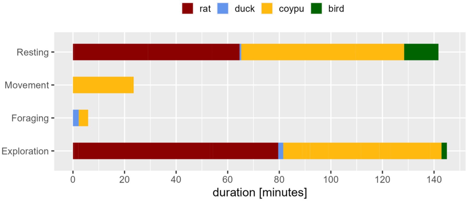 Bar chart showing duration of activities by animals. Resting: rat (72 min), coypu (63 min), bird (6 min). Movement: coypu (18 min). Foraging: duck (6 min), coypu (3 min). Exploration: rat (72 min), duck (3 min).