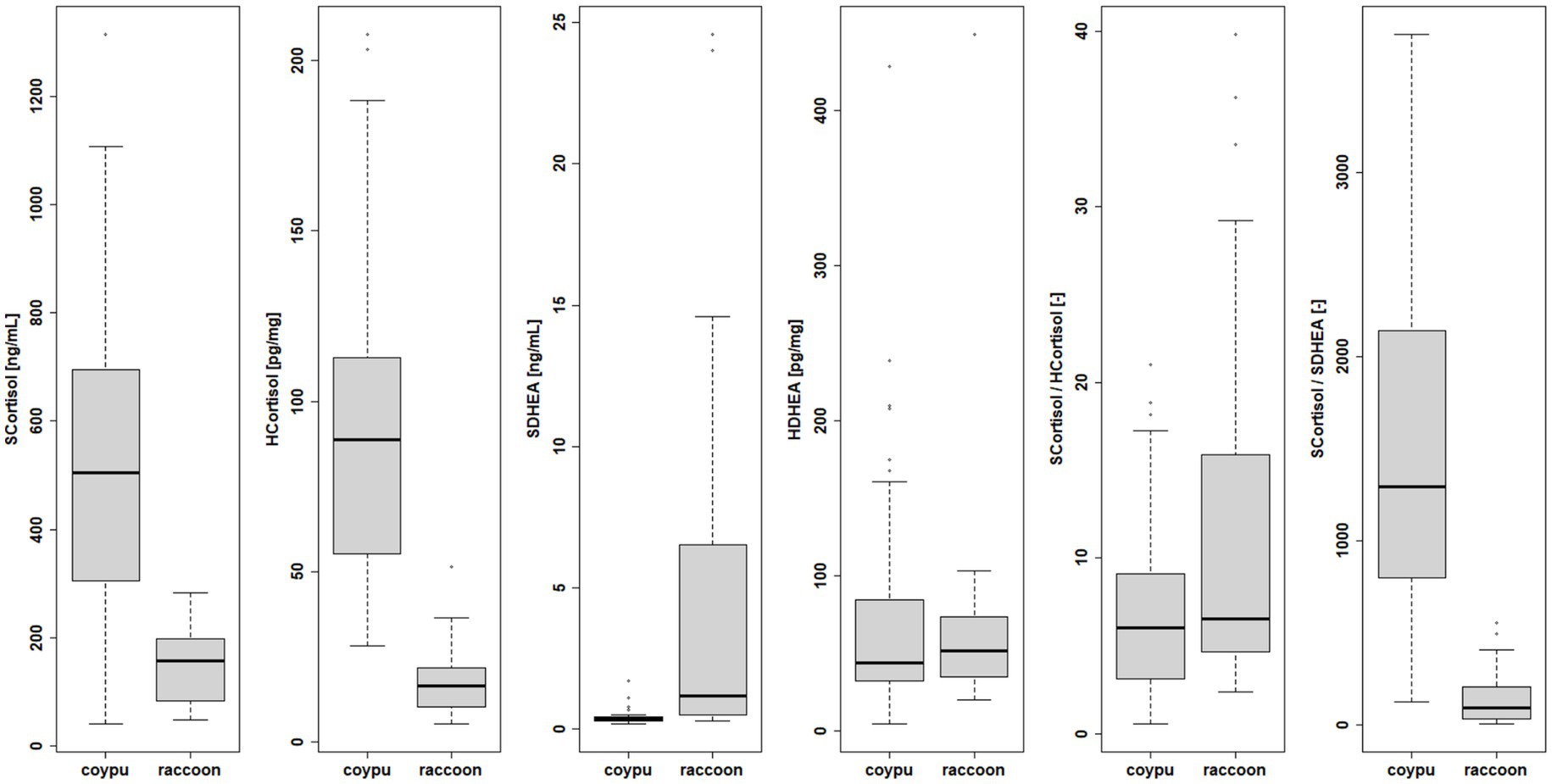 Box plots comparing hormone levels between coypus and raccoons. Parameters include serum cortisol, hair cortisol, serum DHEA, hair DHEA, serum cortisol/hair cortisol ratio, and serum cortisol/serum DHEA ratio. Coypus generally show higher values than raccoons. Outliers are present in several plots.