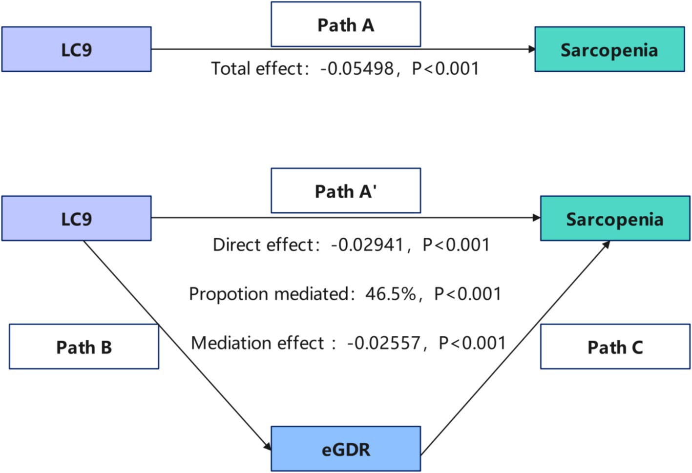 Mediation analysis diagram showing relationships between LC9, eGDR, and Sarcopenia. Path A shows total effect from LC9 to Sarcopenia as negative zero point zero five four nine eight with P less than zero point zero zero one. Path A' shows direct effect as negative zero point zero two nine four one with P less than zero point zero zero one. The proportion mediated is forty-six point five percent with P less than zero point zero zero one. Mediation effect through eGDR is negative zero point zero two five five seven with P less than zero point zero zero one. Paths B and C connect eGDR and Sarcopenia.
