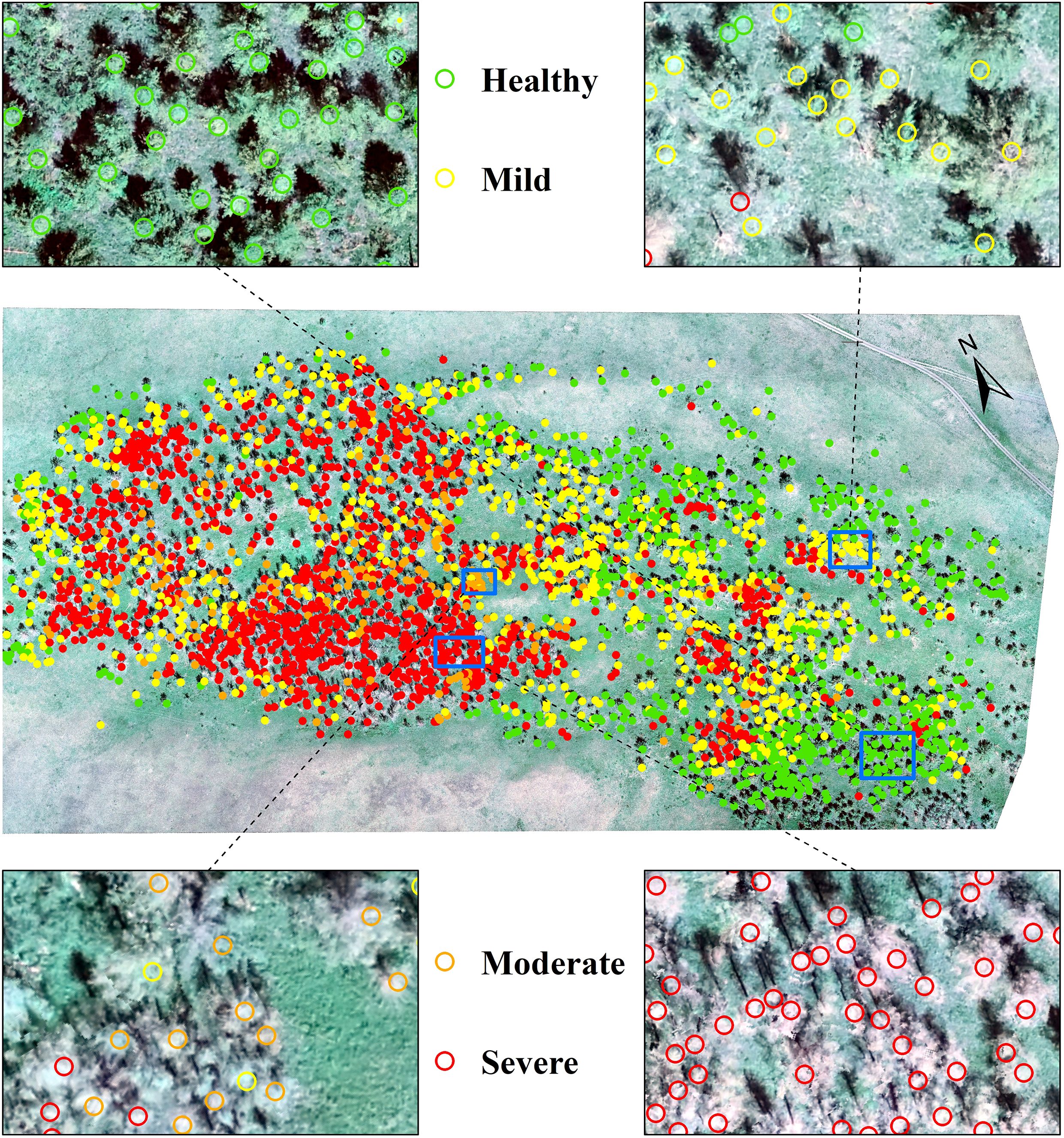 A map shows plant disease severity with color-coded dots: green for healthy, yellow for mild, orange for moderate, and red for severe. Insets zoom in on each severity level with corresponding colors.