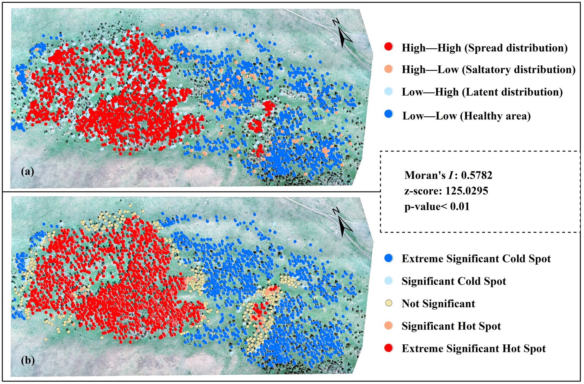 Two maps illustrate spatial data distribution with colored dots. In map (a), colors represent distribution types: red for high-high (spread), orange for highlow (saltatory), light blue for low high (latent), and blue for low-low (healthy). Map (b) shows results of hotspot analysis: blue for extreme cold spots, light blue for cold spots, yellow for not significant, orange for hot spots, and red for extreme hot spots. Annotations include Moran's I value of 0.5782, z score of 125.0295, and p-value less than 0.01.